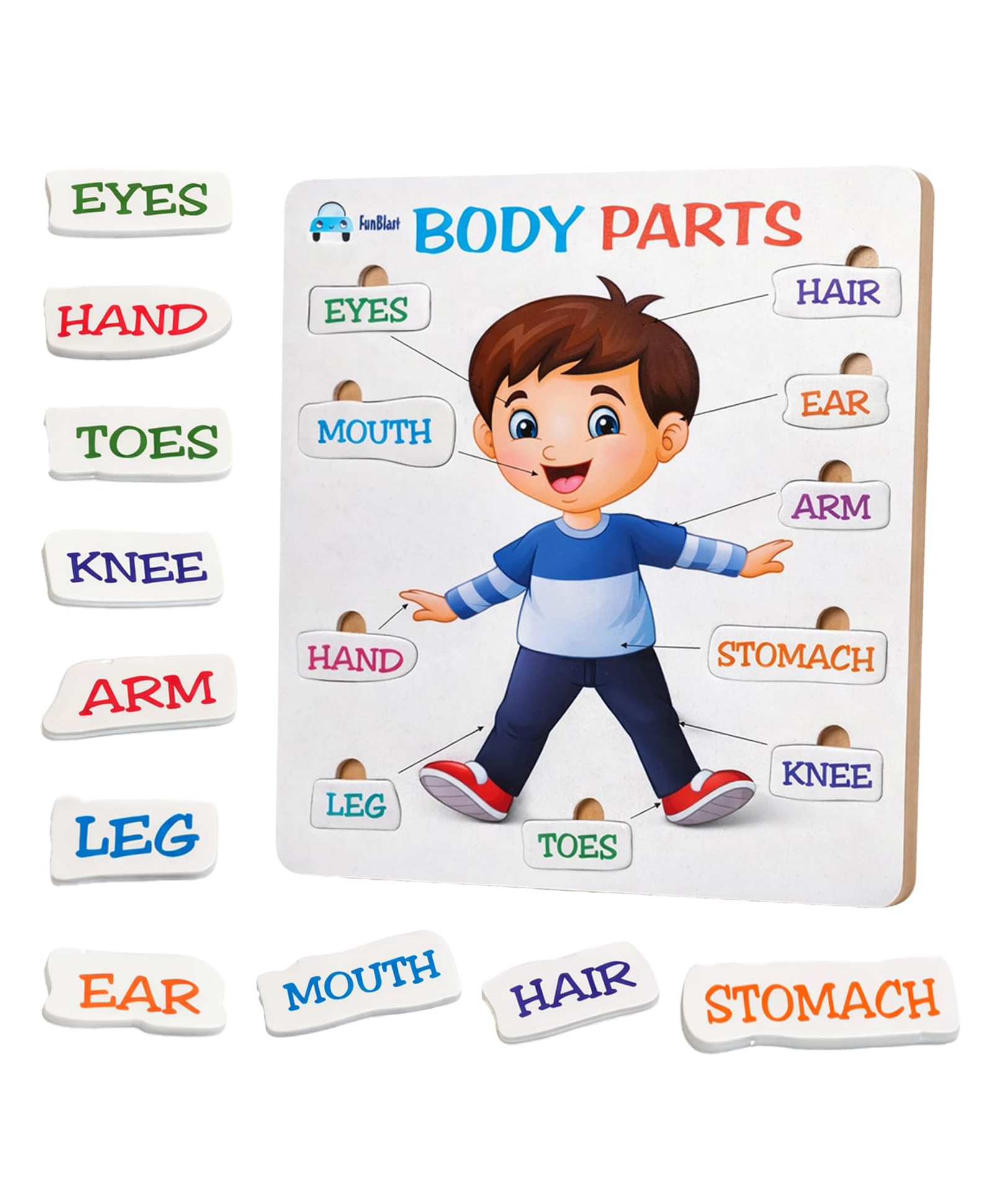 FunBlast Body Parts Puzzle for Kids Pack of 1 (Multicolor)-picture-10