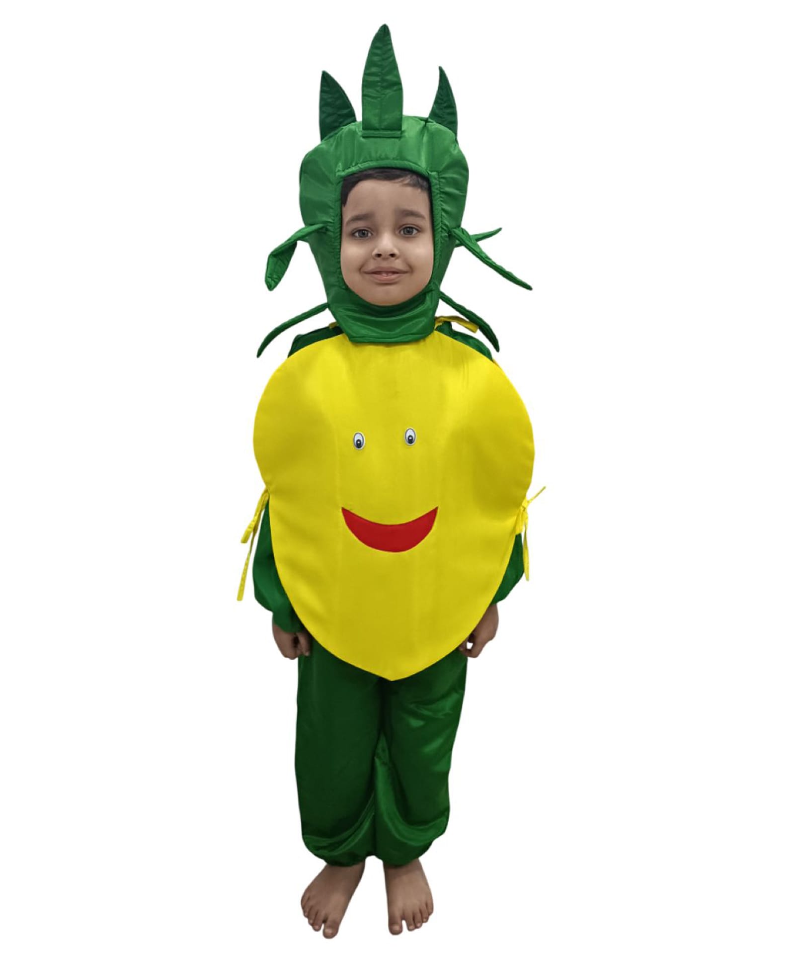 BookMyCostume Woven Full Sleeves Lemon Costume - Green & Yellow-image-13