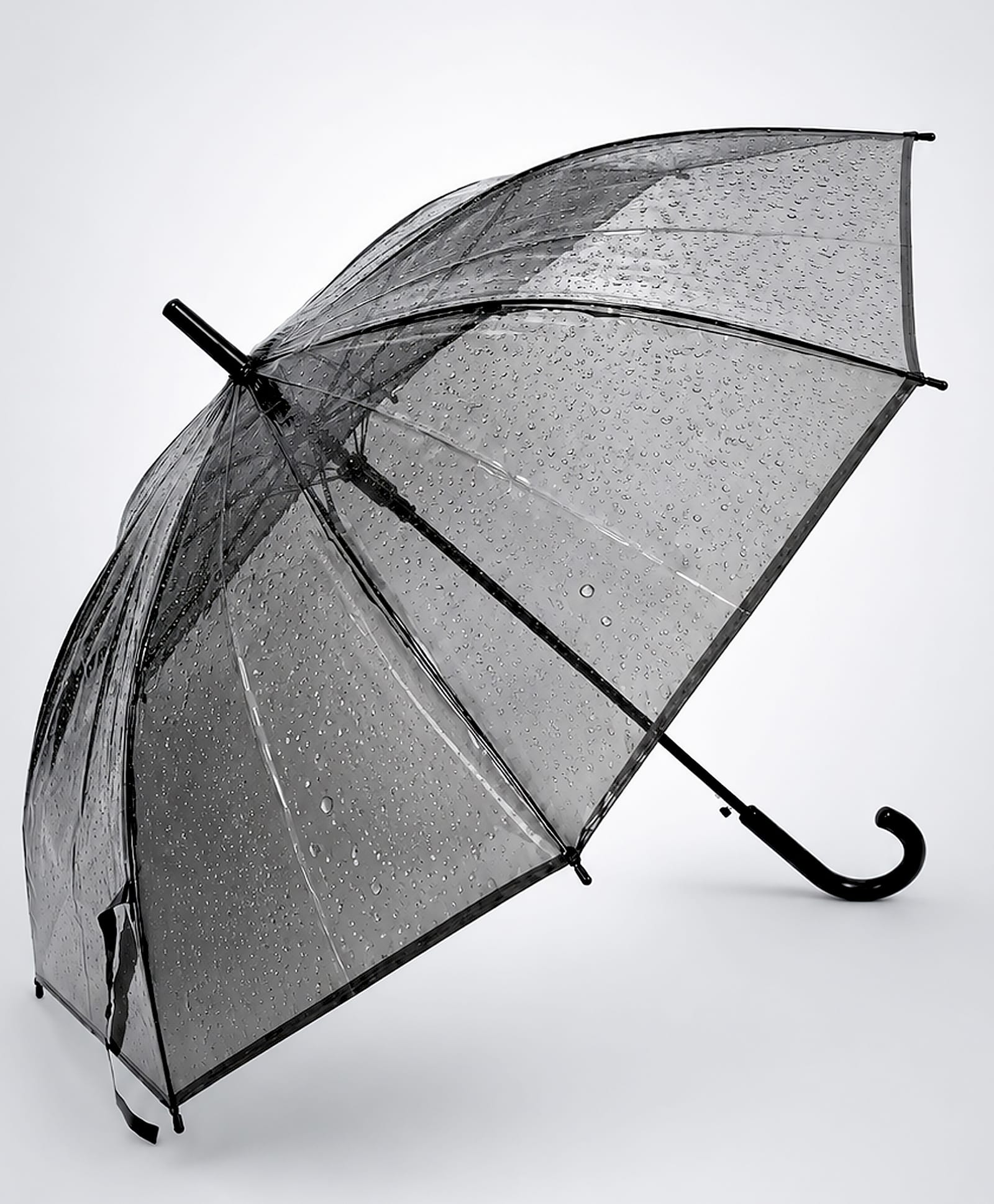 Little Surprise Box Transparent Umbrella - Black-picture-15