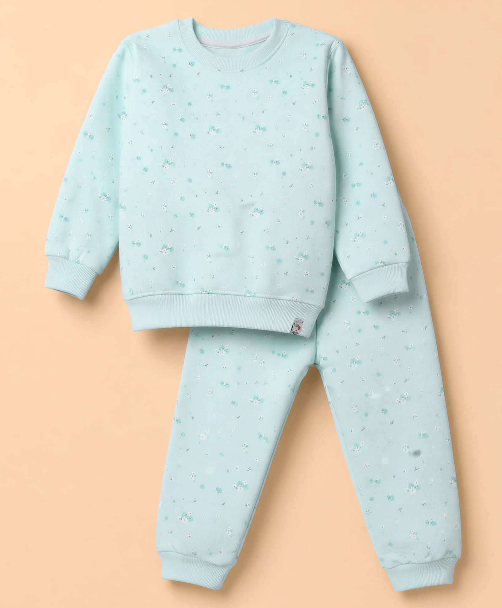 Teddy Fleece Knit Full Sleeves Co-Ords T-Shirt & Pyjama Winter Wear Night Suit with Floral Print - Sky Blue-picture-6