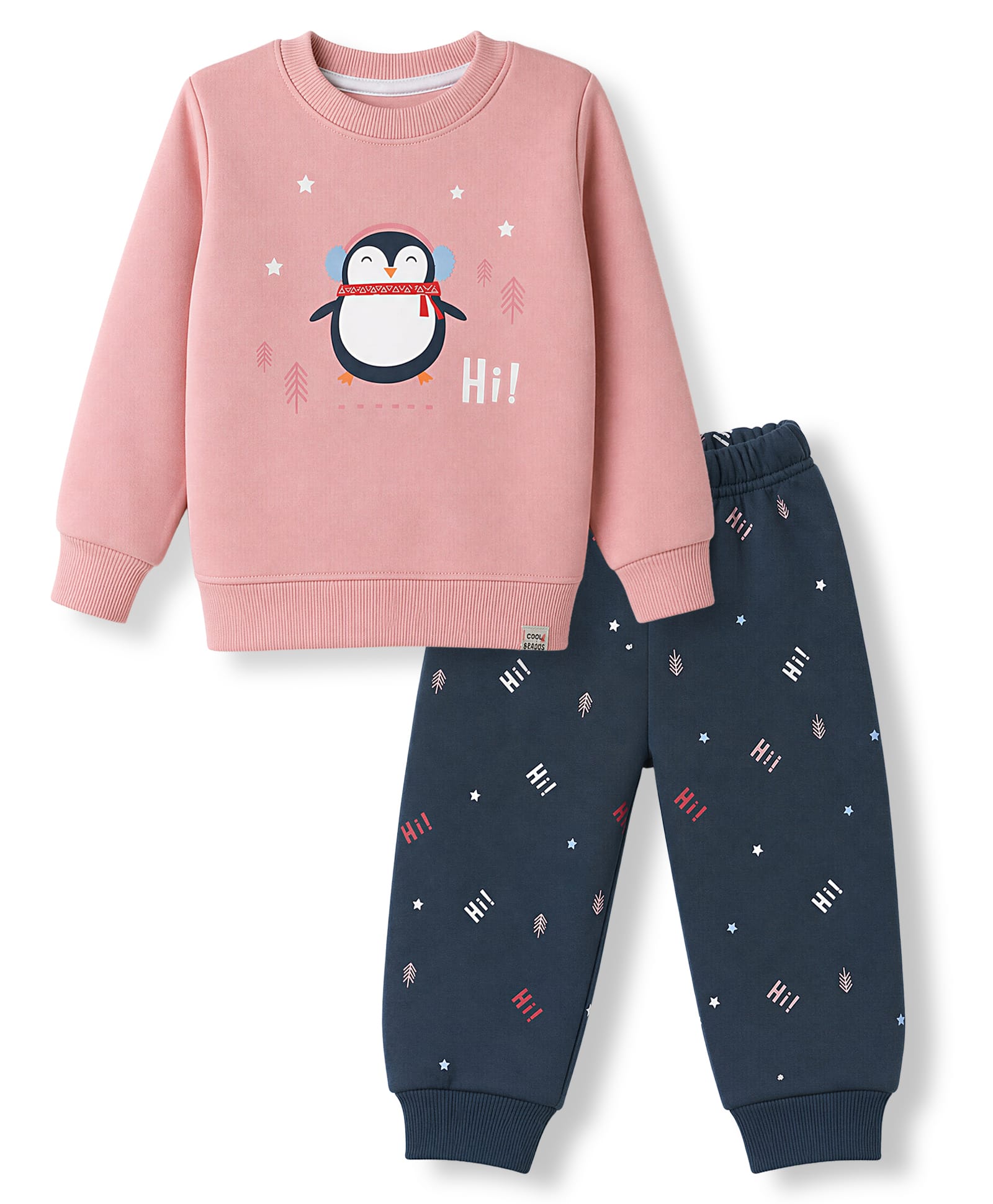 Teddy Fleece Knit Full Sleeves T-Shirt & Pyjama Winter Wear Night Suit with Penguin Print - Pink-picture-23