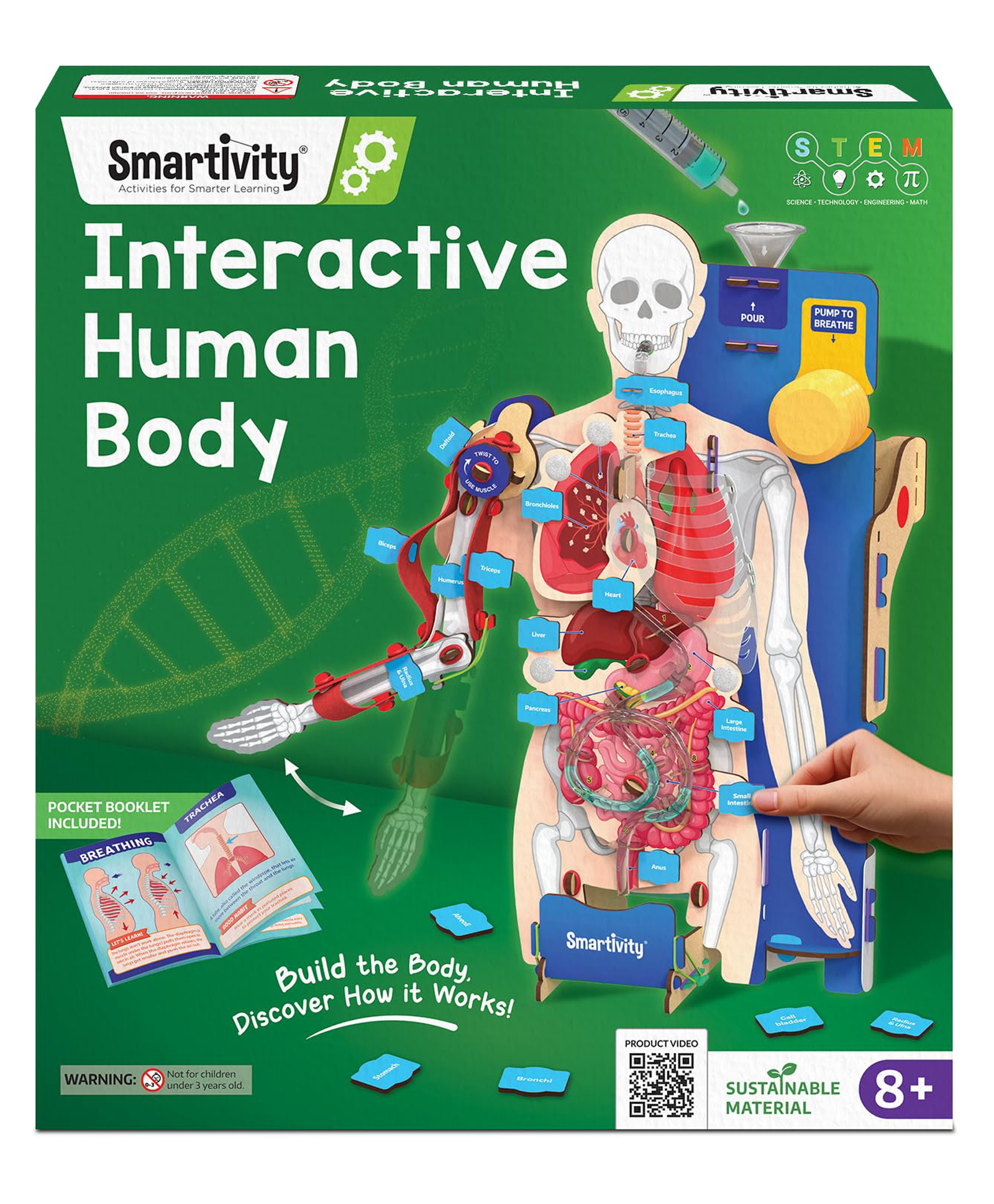 Smartivity Interactive Human Body Model - Dynamic Body Parts & Organs + Learning Booklet-picture-21