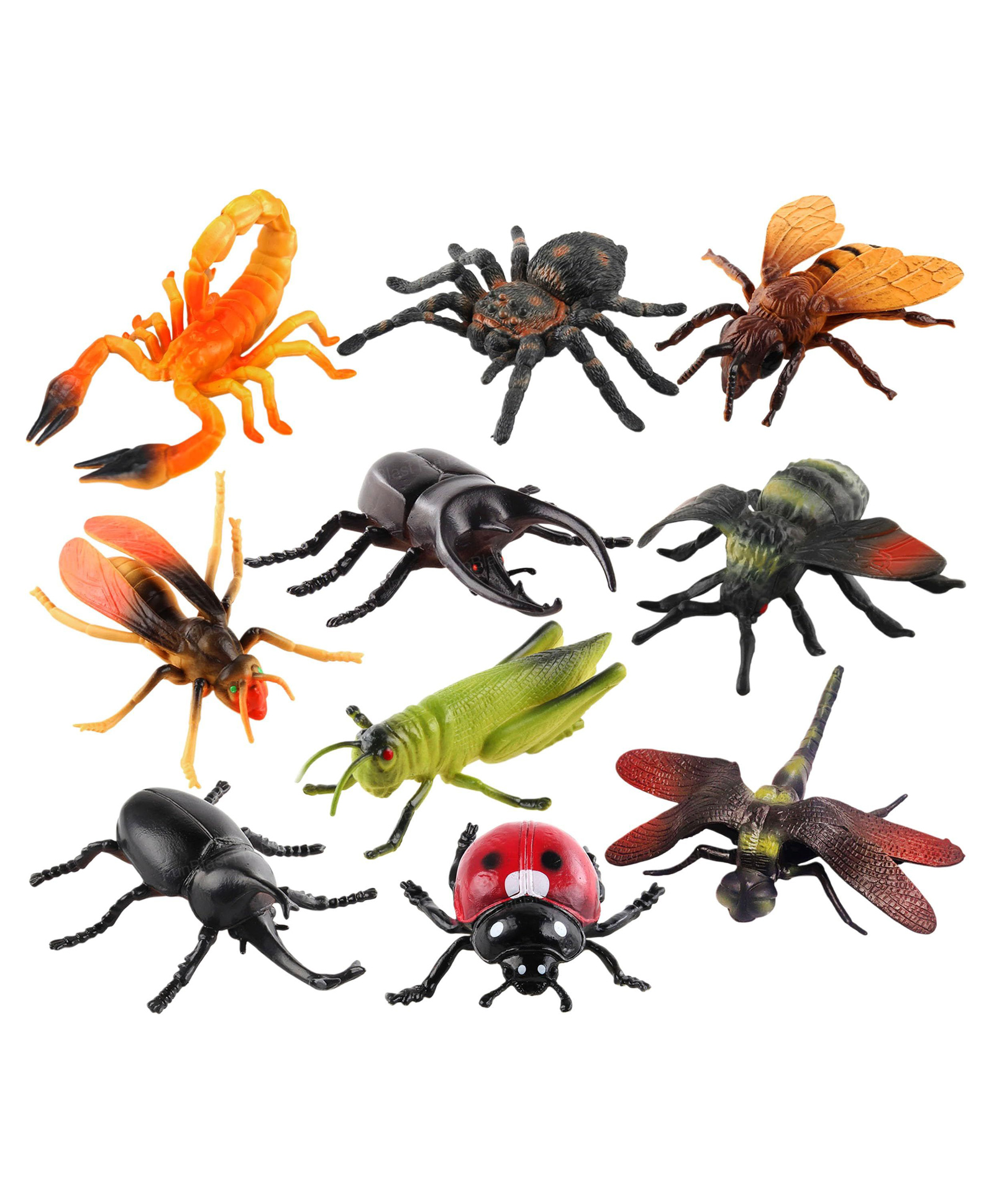 FunBlst Realistic Insect Toys for Kids - Pack of 10 Pcs (Multicolor)-image-3