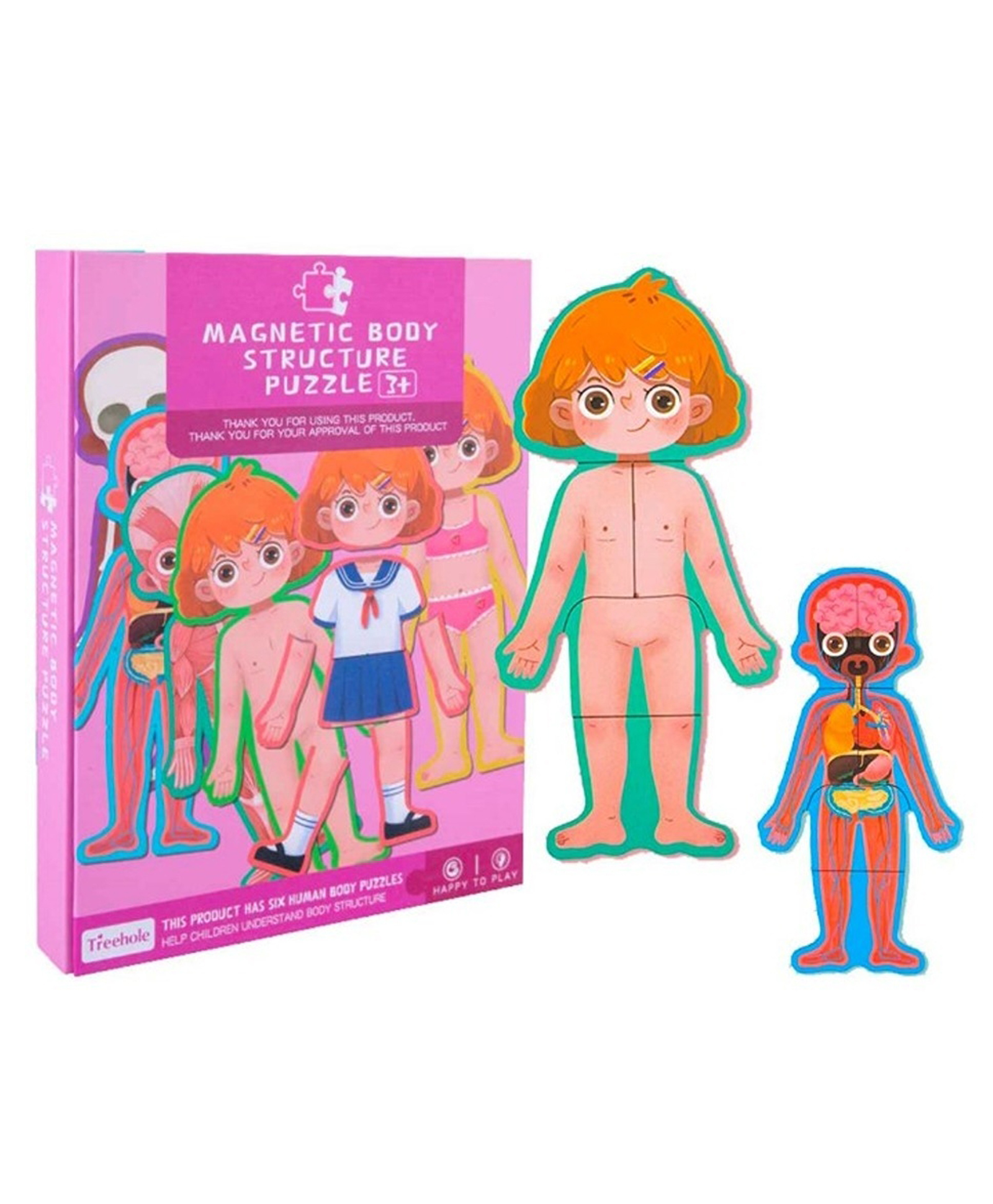 Happy Hues Human Body Structure Anatomy Puzzle for Kids-STEM Puzzle for kids-image-38