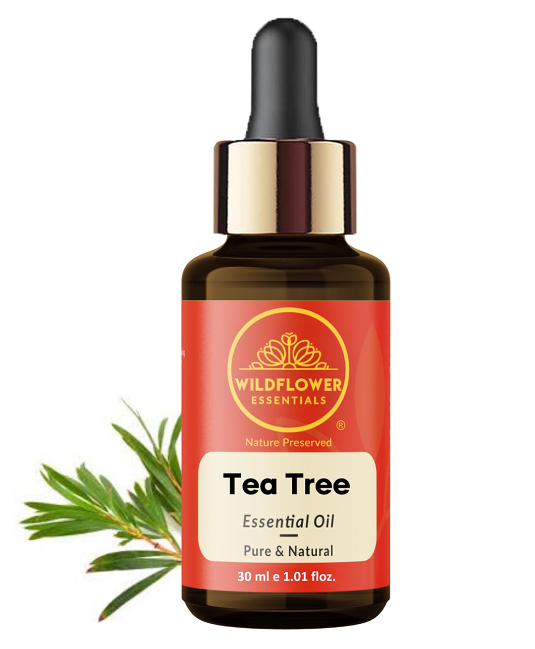 Wildflower Essentials Tea Tree Essential oil For Skin, Hair, Face, Acne Care, Body, Aromatherapy, 100% Pure, Natural & Undiluted Therapeutic Grade Essential Oils (30 ML)-image-31