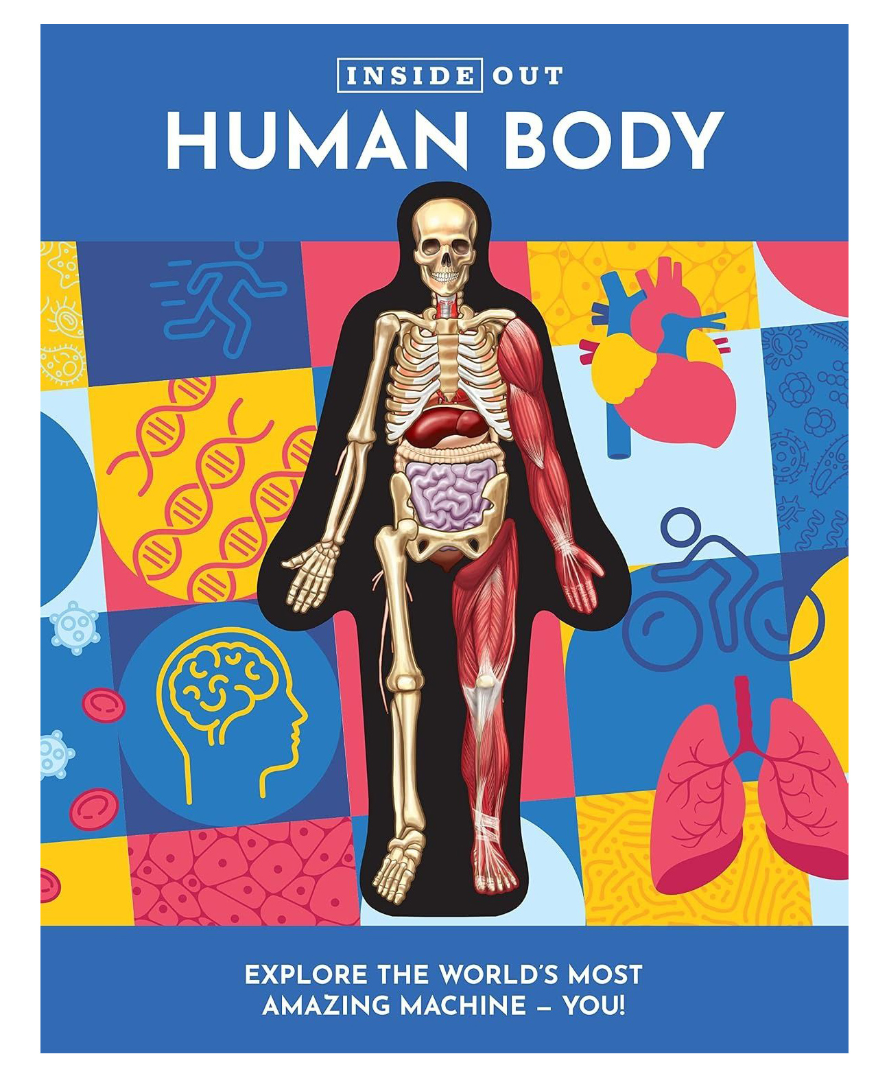 Inside Out Human Body, Paperback, By Luann Columbo - English-image-32