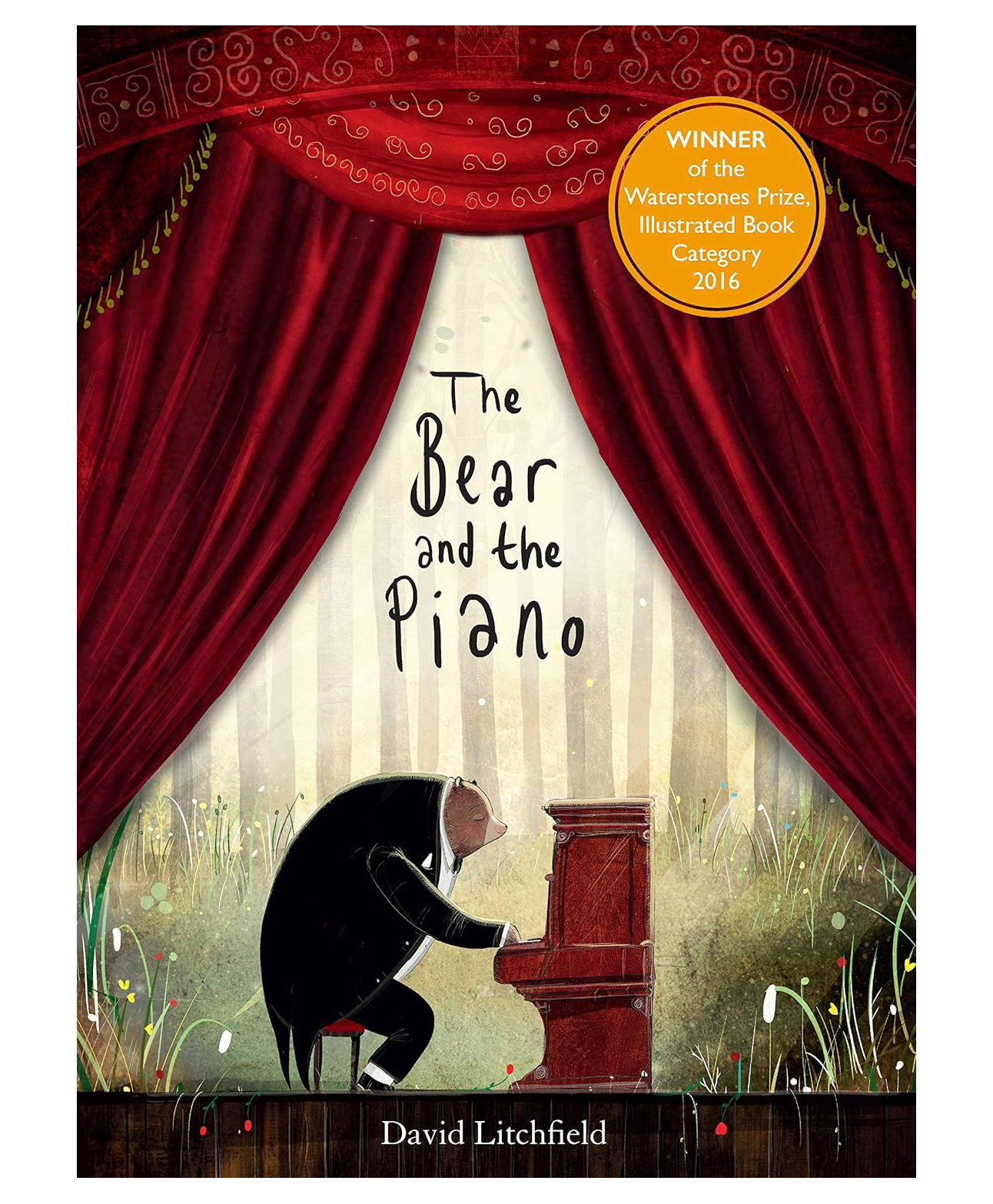 The Bear and the Piano by David Litchfield-image-45