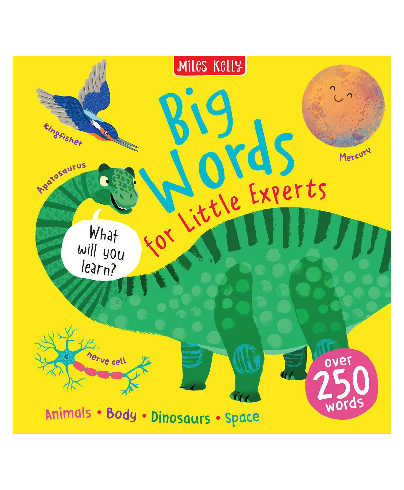 Big Words: A Non-Fiction Book About Animals, Space, and Dinosaurs (Big Words for Little Experts), Hardback, By Miles Kelly - English-image-35