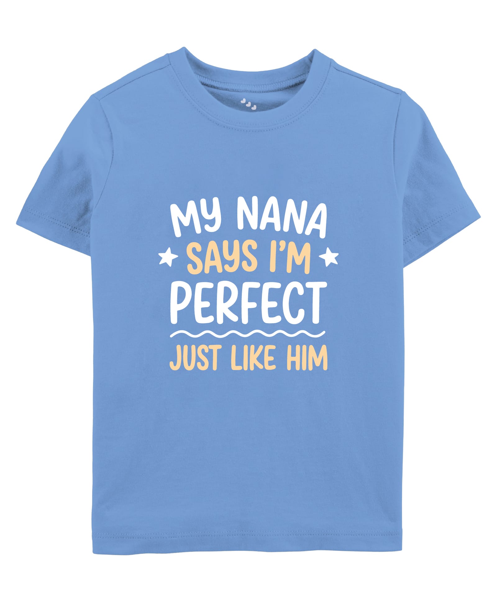 Zeezeezoo Cotton Knit Family Theme Half Sleeves My Nana Says I m Perfect Just Like Him Text Printed Tee - Blue-image-47