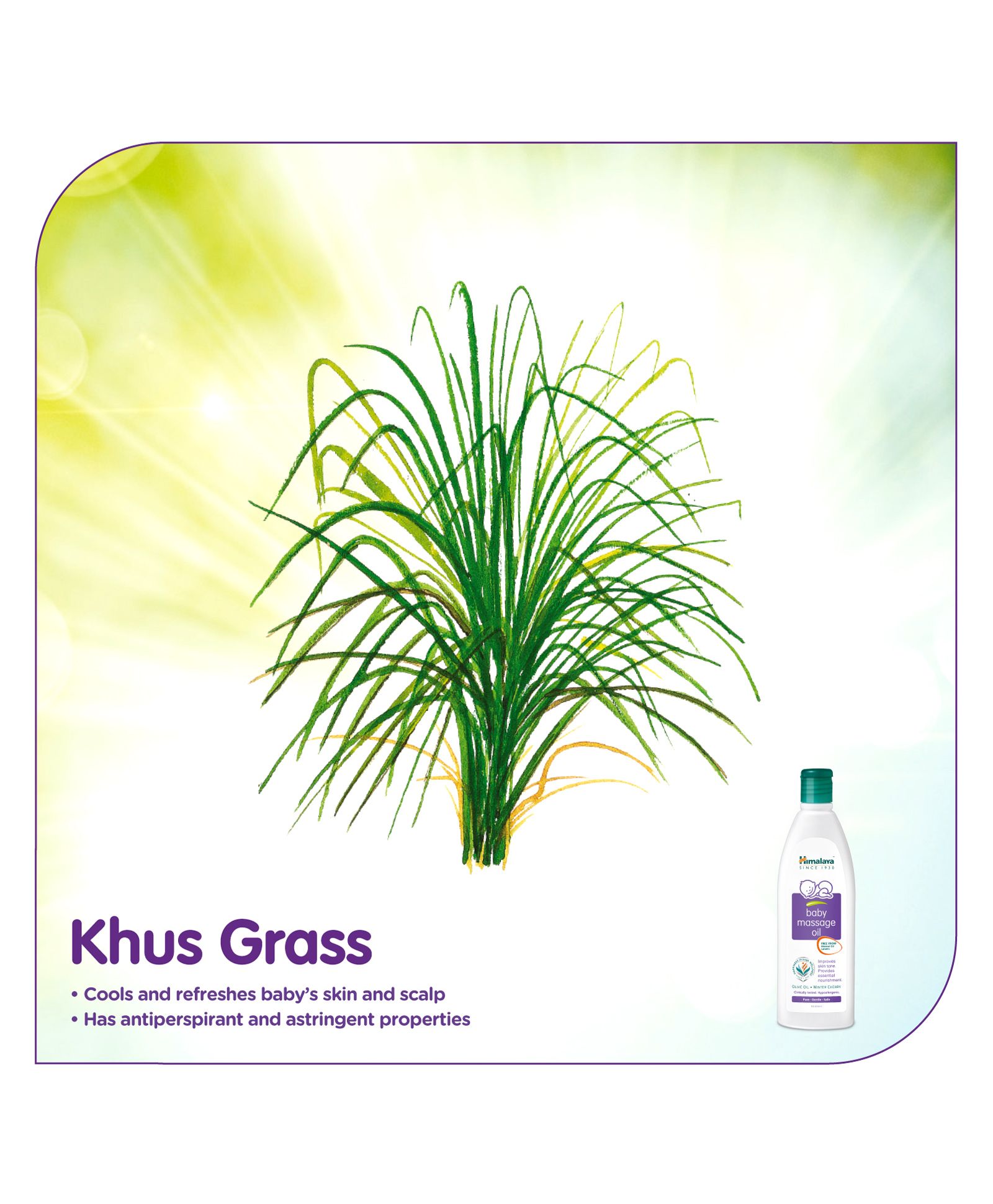 himalaya baby massage oil 1000ml price