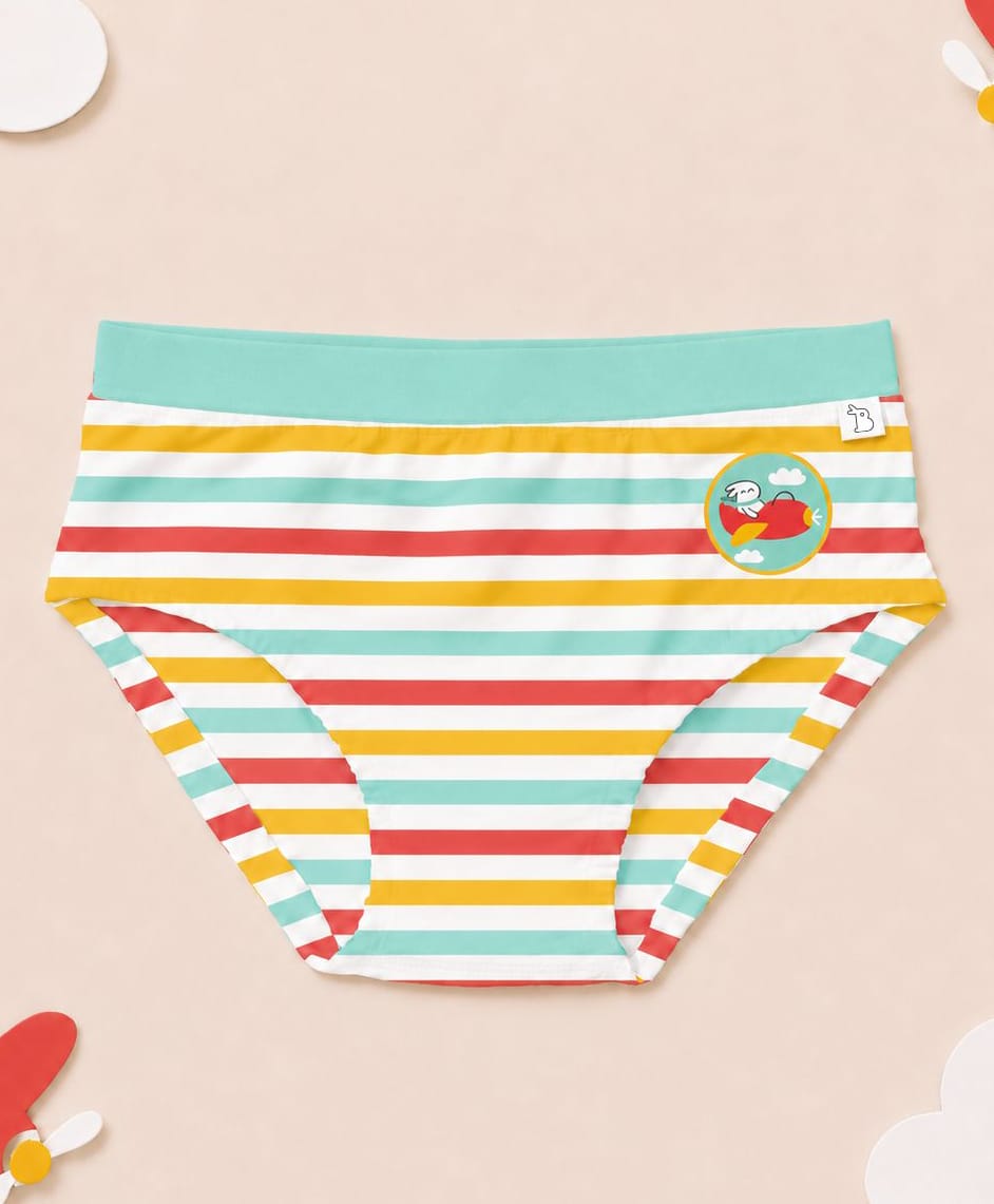 SuperBottoms Bamboo Knit Striped & Bunny In A Plane Printed Briefs - Multi Colour-picture-44