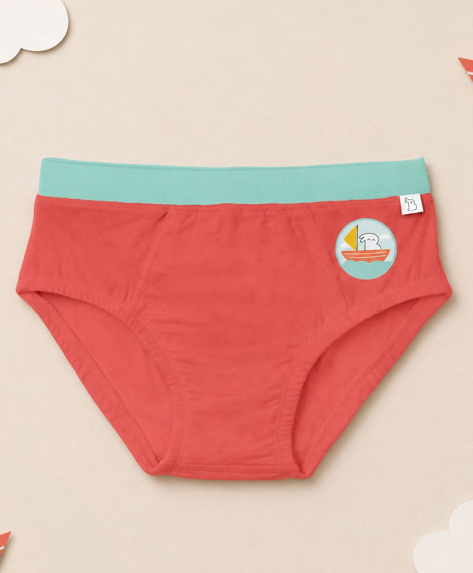 SuperBottoms Bamboo Knit Bunny In A Boat Printed Briefs - Red-picture-18