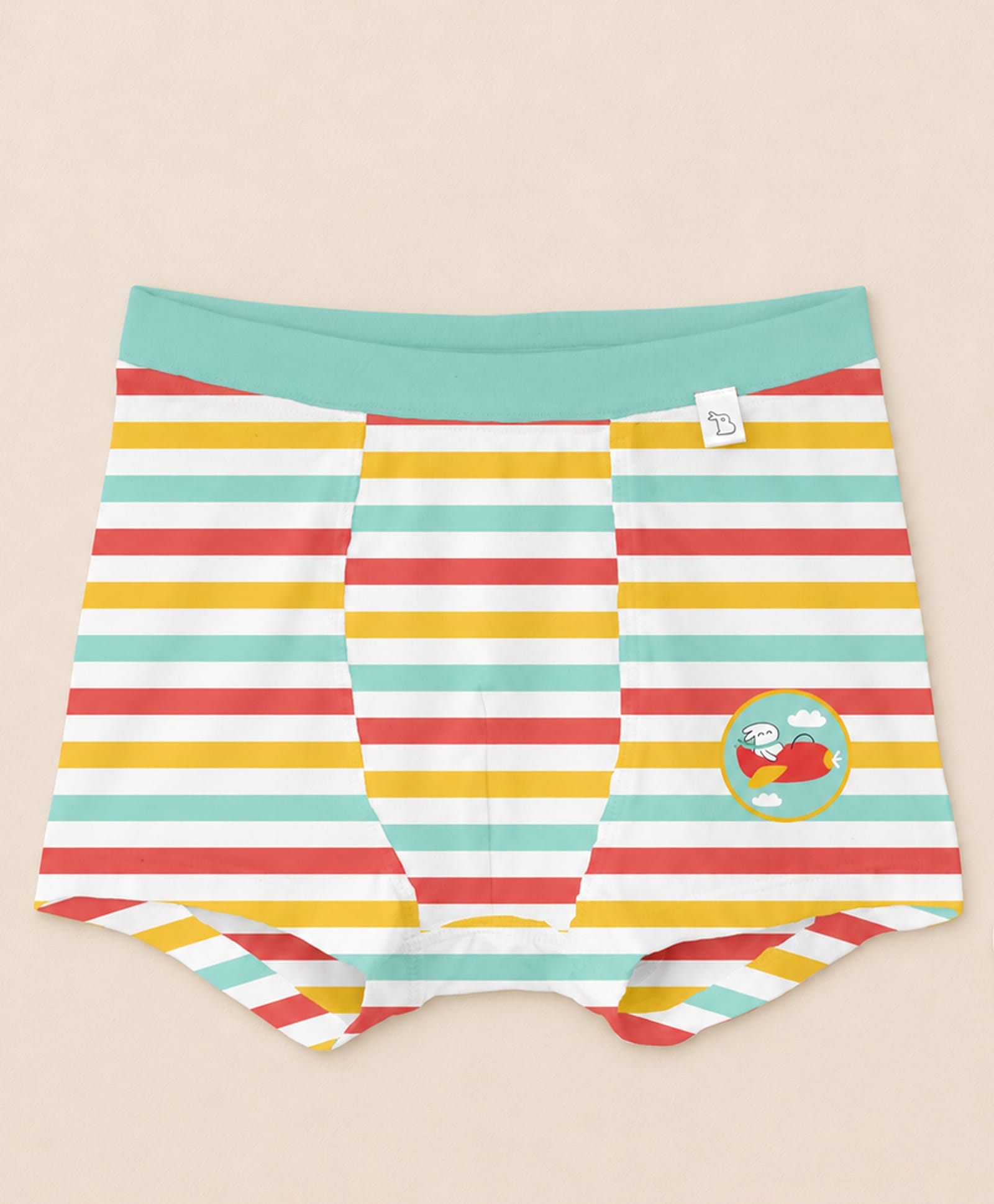 SuperBottoms Bamboo Knit Striped & Bunny In Plane Printed Boxers - Multi Colour-image-15