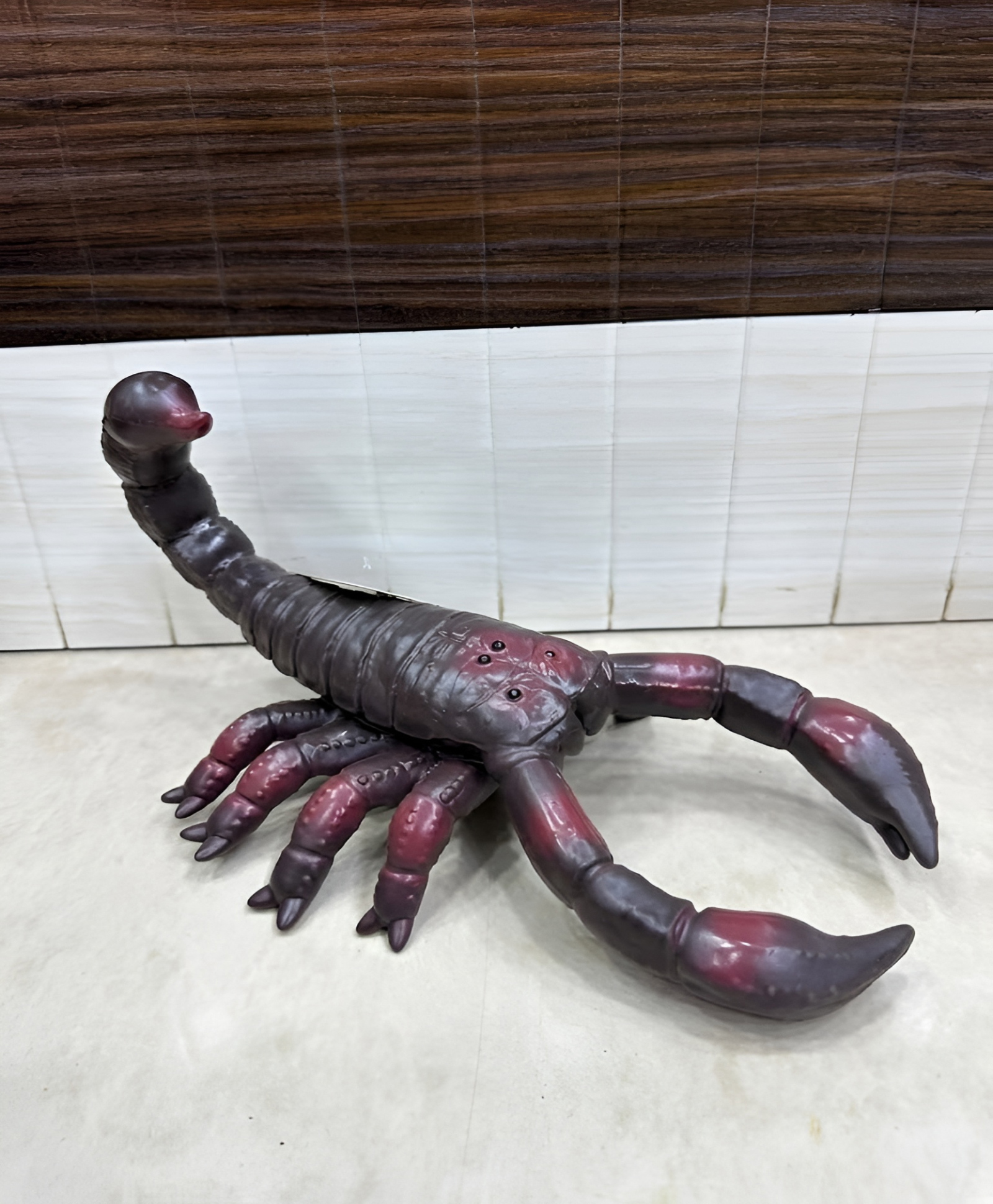 NEGOCIO Scorpion Toy for Kids, Realistic Brown Scorpion Figure Toy, Large Animal Insect Toy for Boys Girls, Educational Nature Toy for School Project Play- PACK OF 1- COLOR MAY VARY-image-12