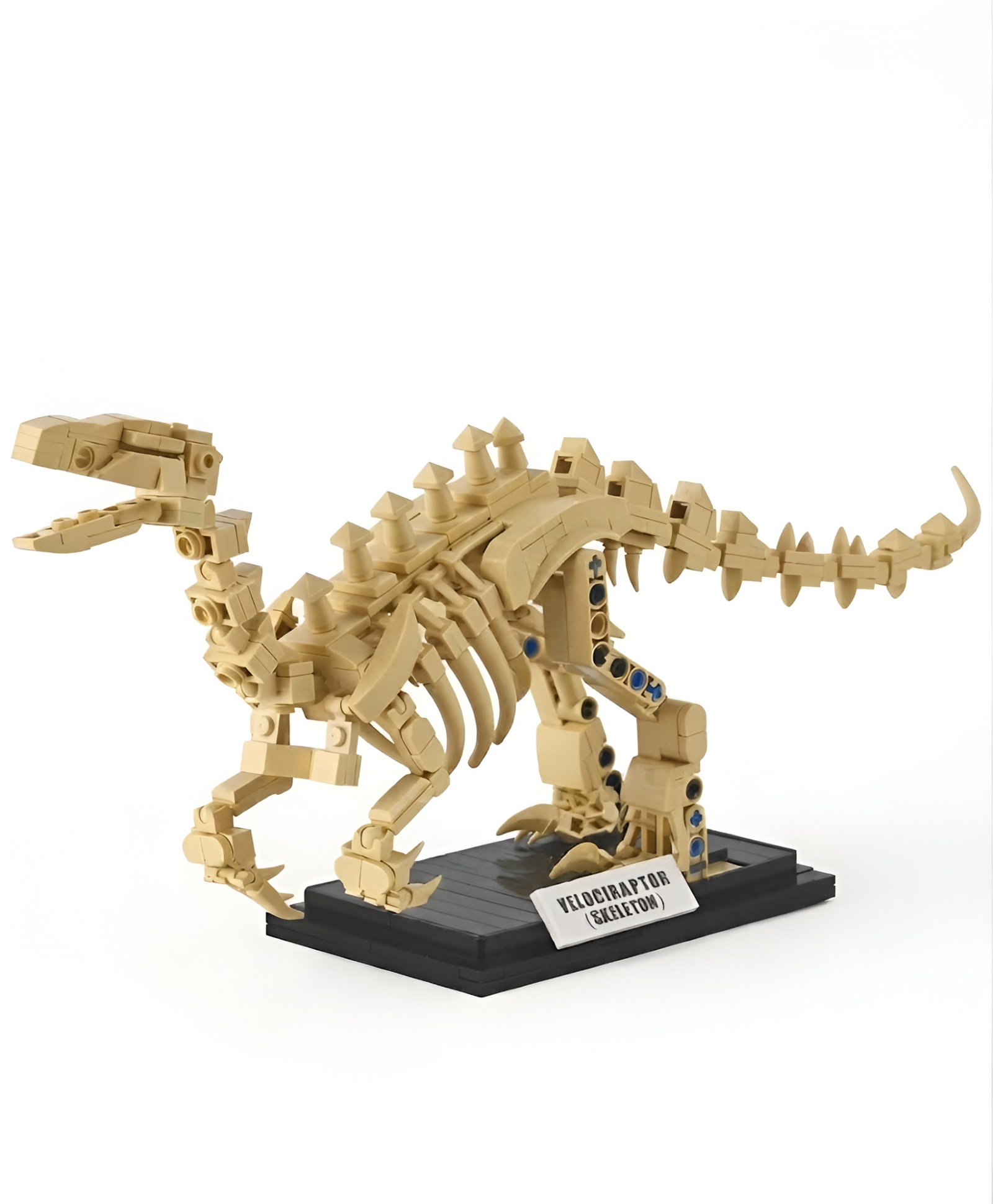 NEGOCIO 358 Pcs Dinosaur Fossil Building Block Set, Velociraptor Skeleton Bone Model Construction Toy Brick Kit, Gift For Kids- PACK OF 1- COLOR MAY VARY-image-13