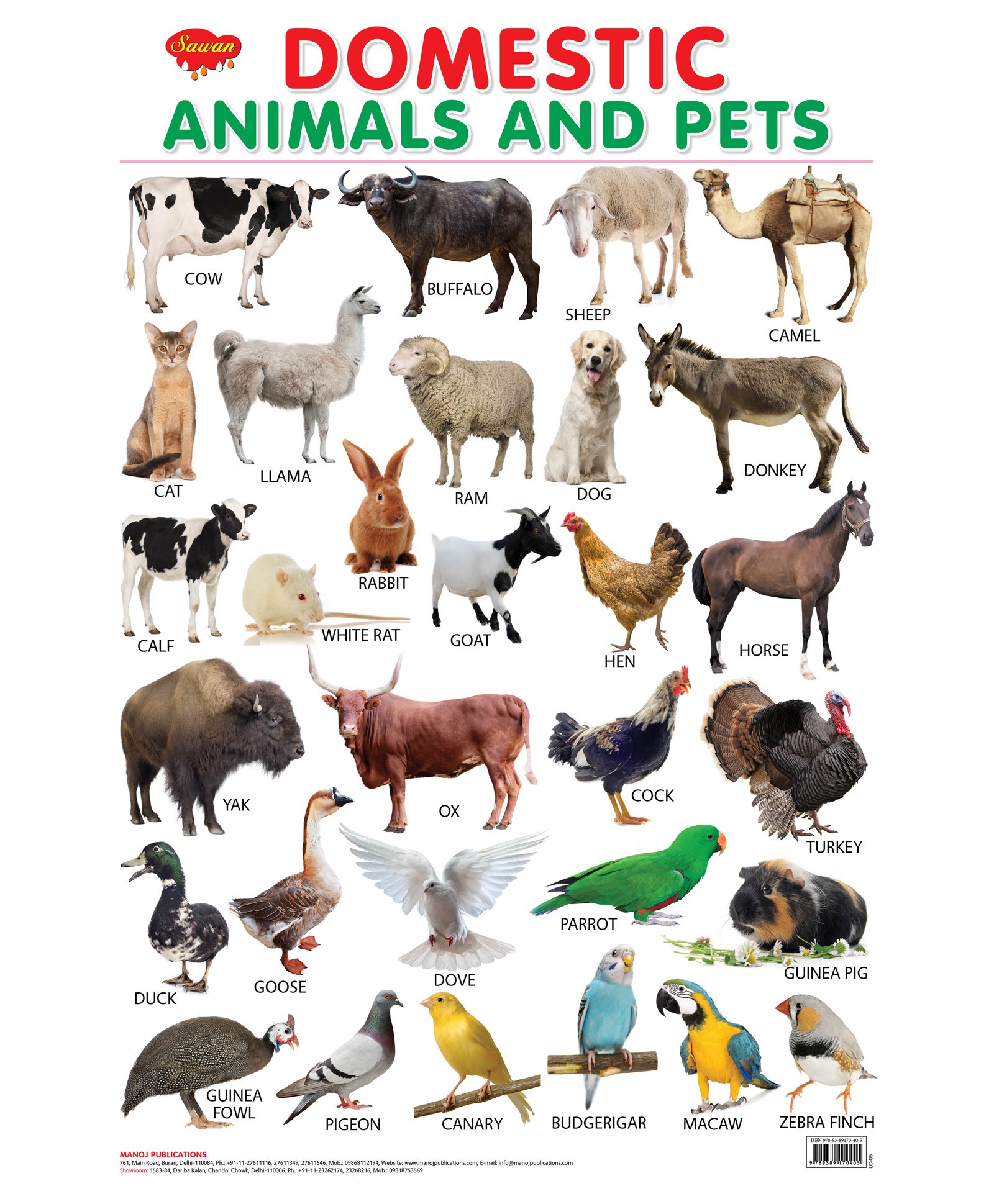 Chart Of Wild And Domestic Animals - Image to u