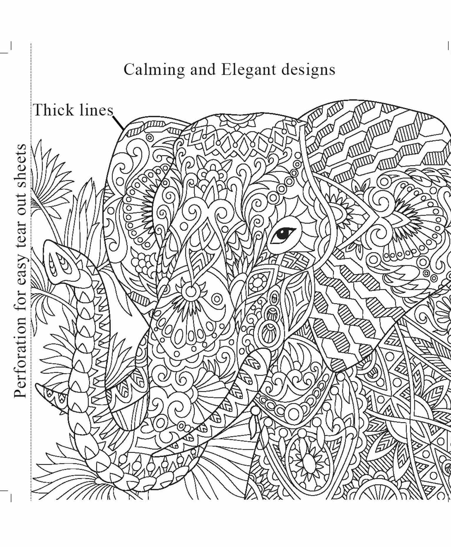 Download Wonder House Books Majestic Animals Colouring Book English Online In India Buy At Best Price From Firstcry Com 3442996