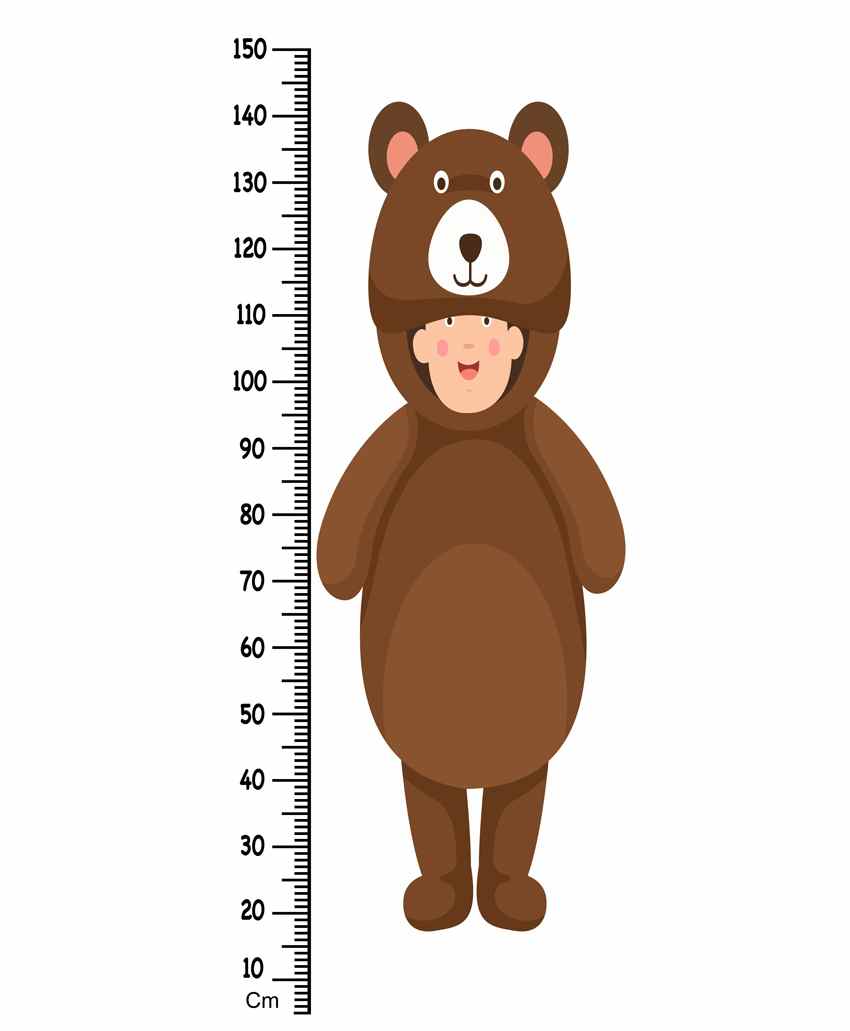 WENS Height Measurement Wall Sticker Bear Print - Brown-image-30