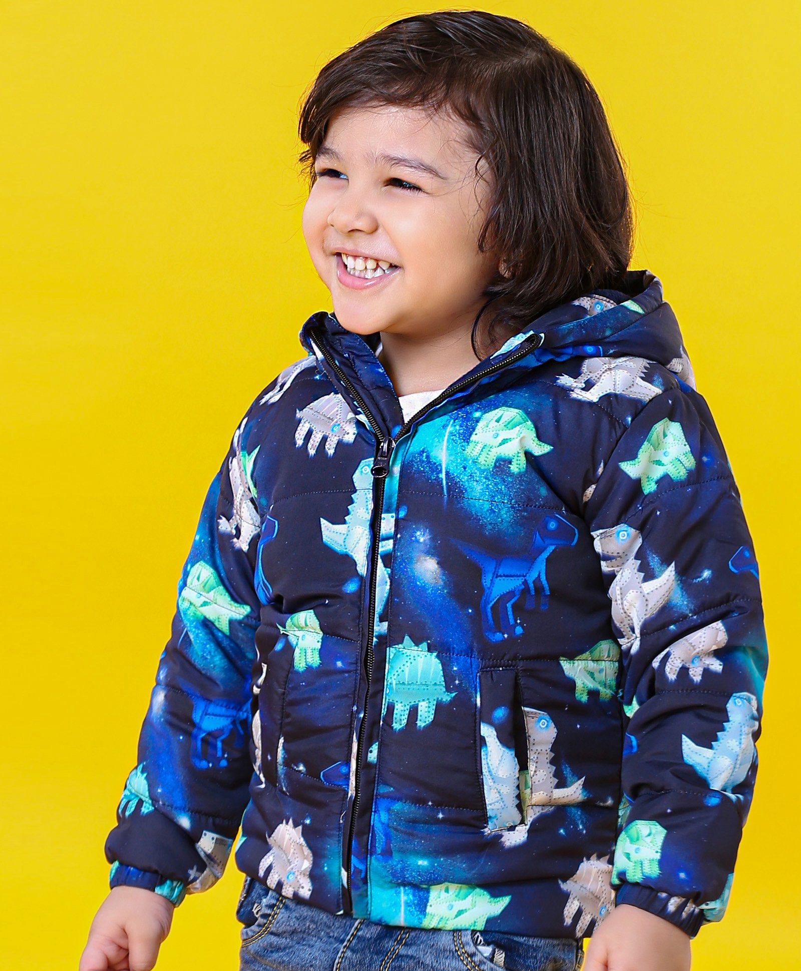Babyhug Full Sleeves Hooded Padded Winter Jacket Dino Print - Navy-image-15