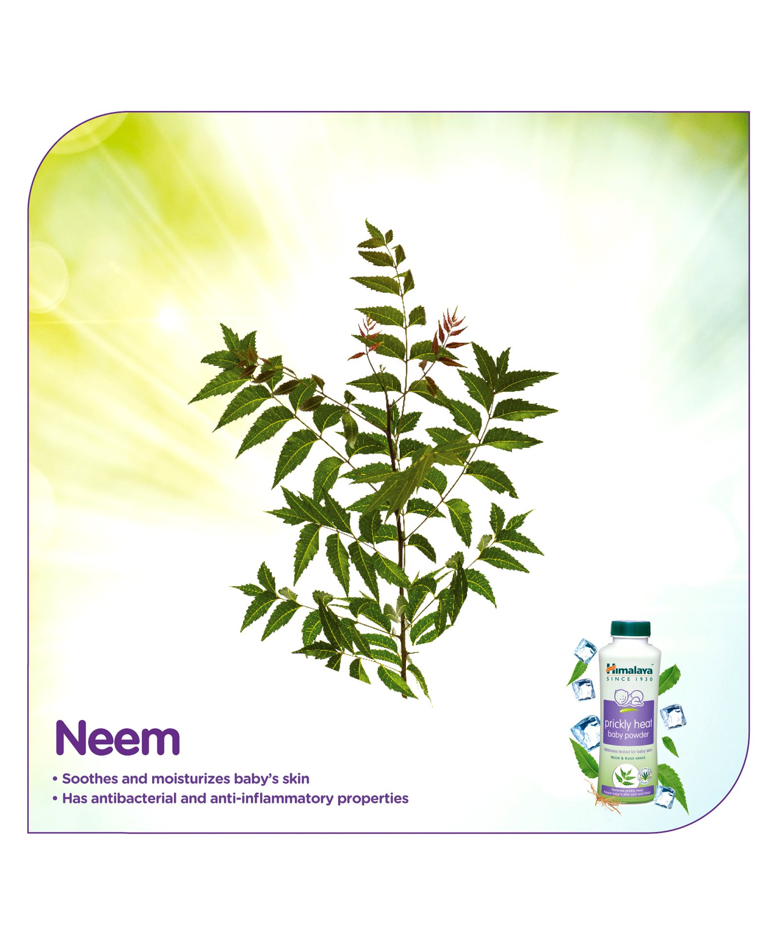 himalaya neem baby powder