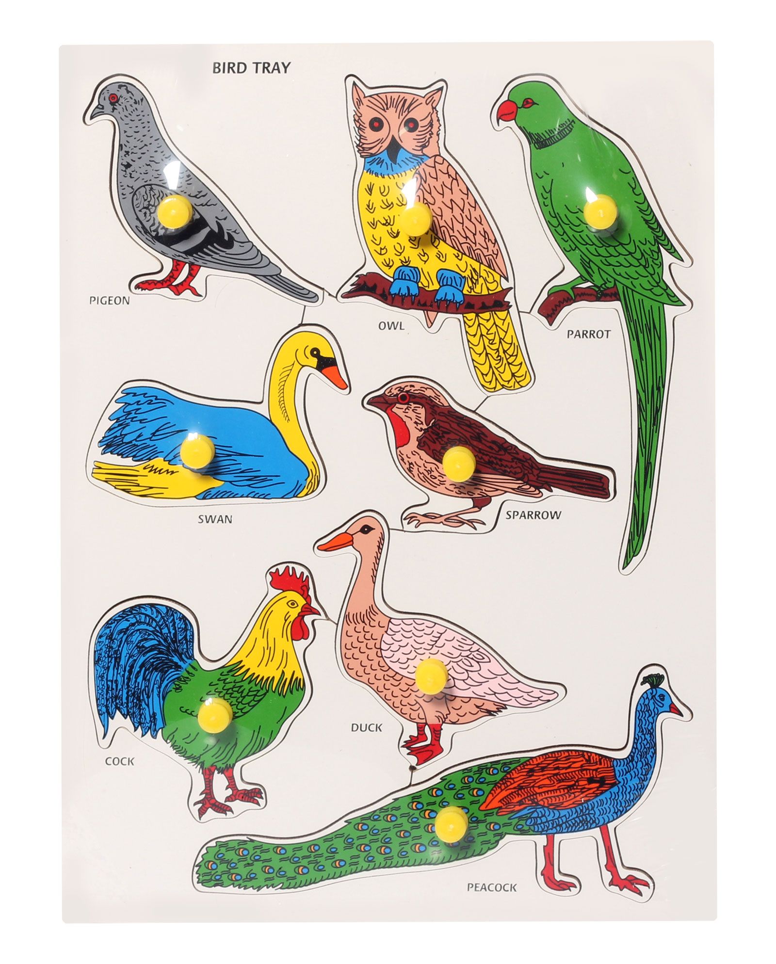 Little Genius Wooden Bird Tray - Multicolor-picture-28