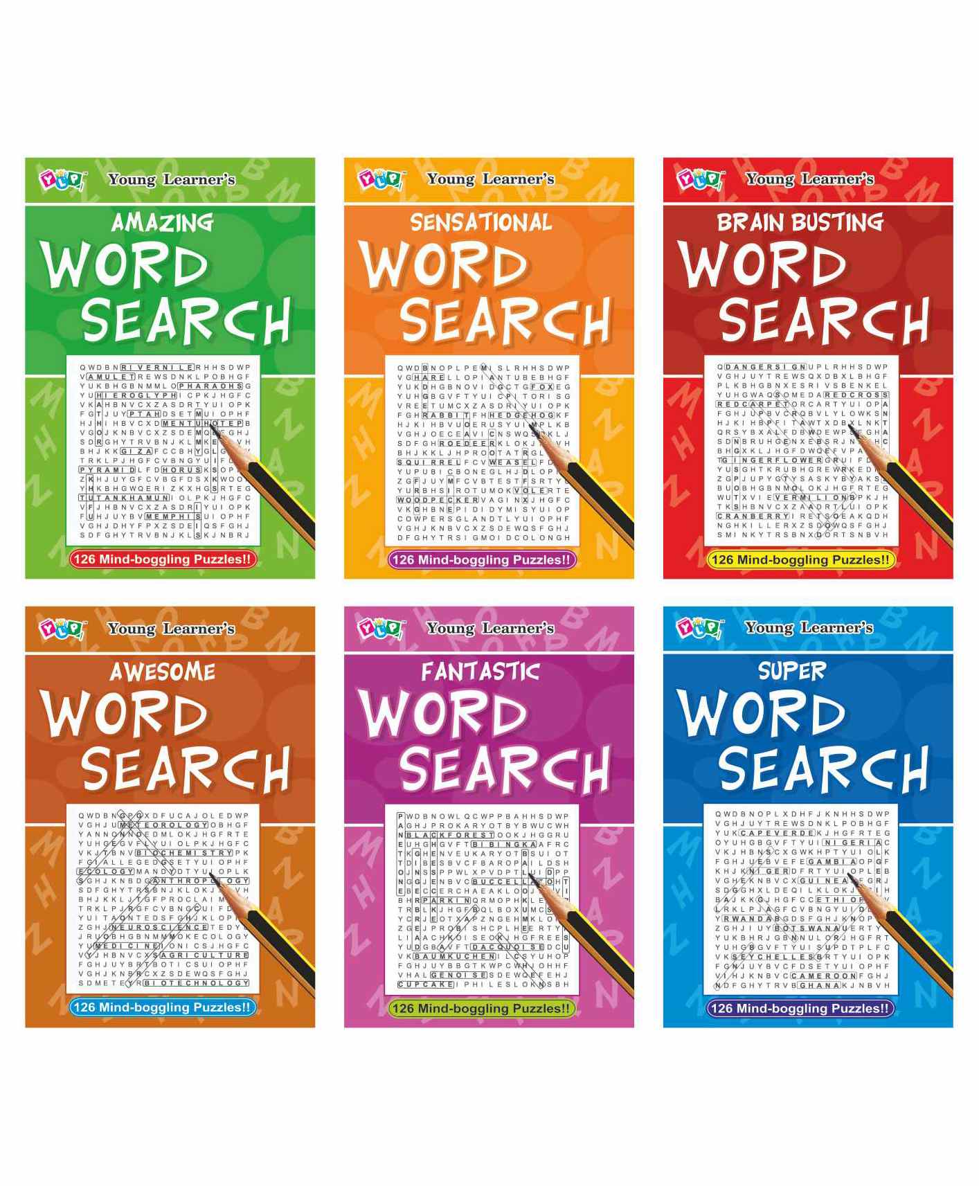 Young Learner Publication Word Search Books Pack of 6 - English-image-45