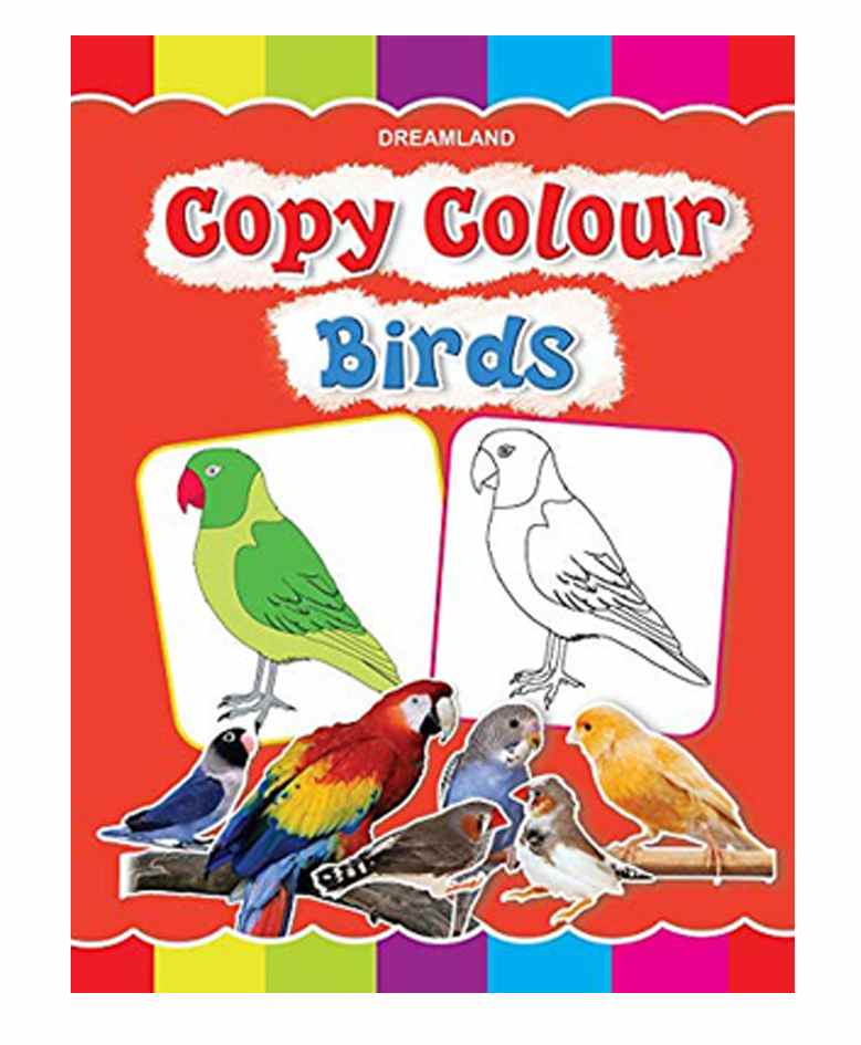 Dreamland Birds Copy Colour Book for Kids - Drawing and Painting Book for Early Learners (Copy Colour Books)