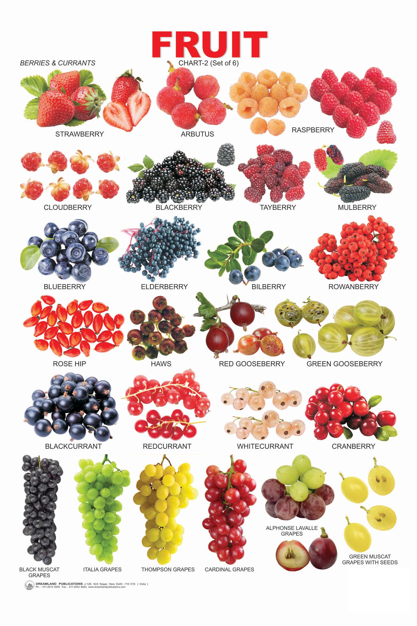 Berry Identification Chart