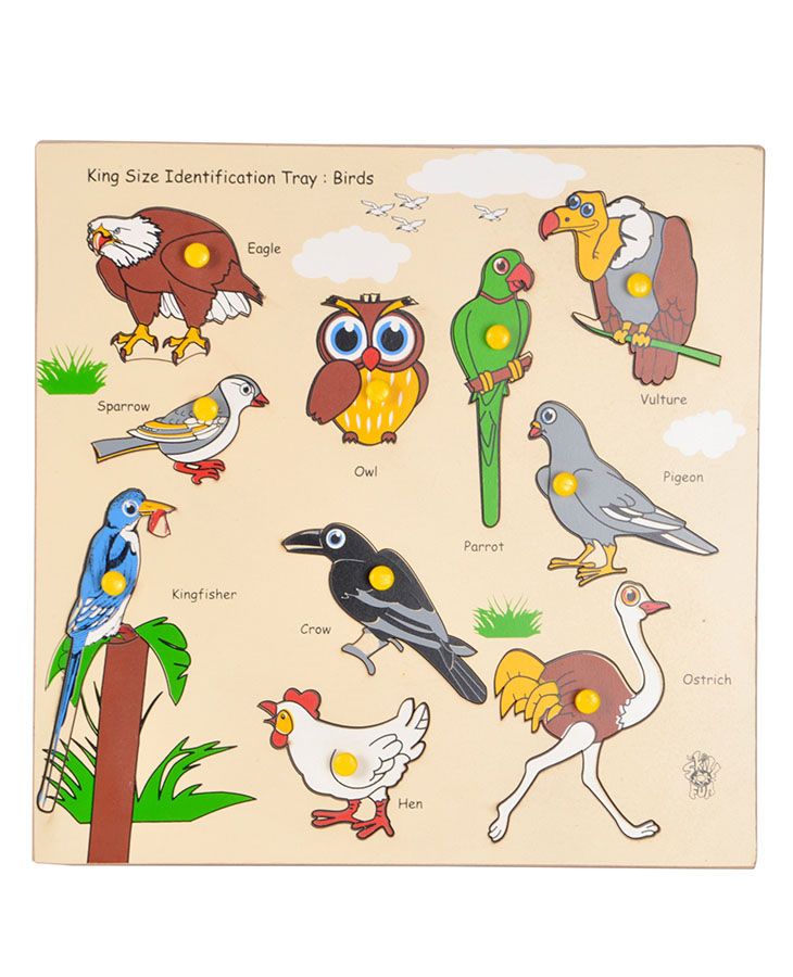 Skillofun - King Size Identification Wooden Tray Birds-picture-44