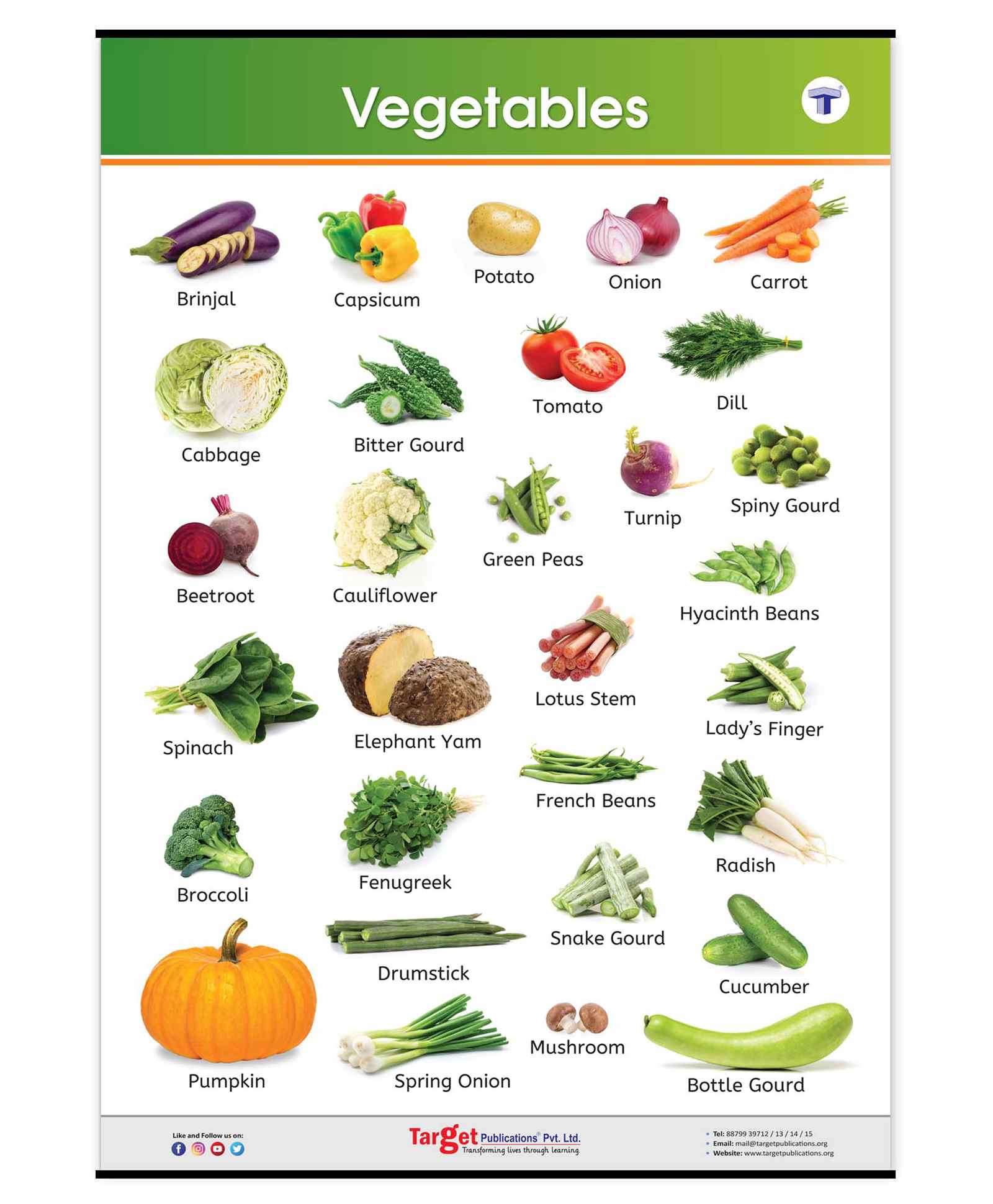 Chart name. Vegetables in English. Names of Vegetables in English. Примеры овощей на английском. Kinds of Vegetables.