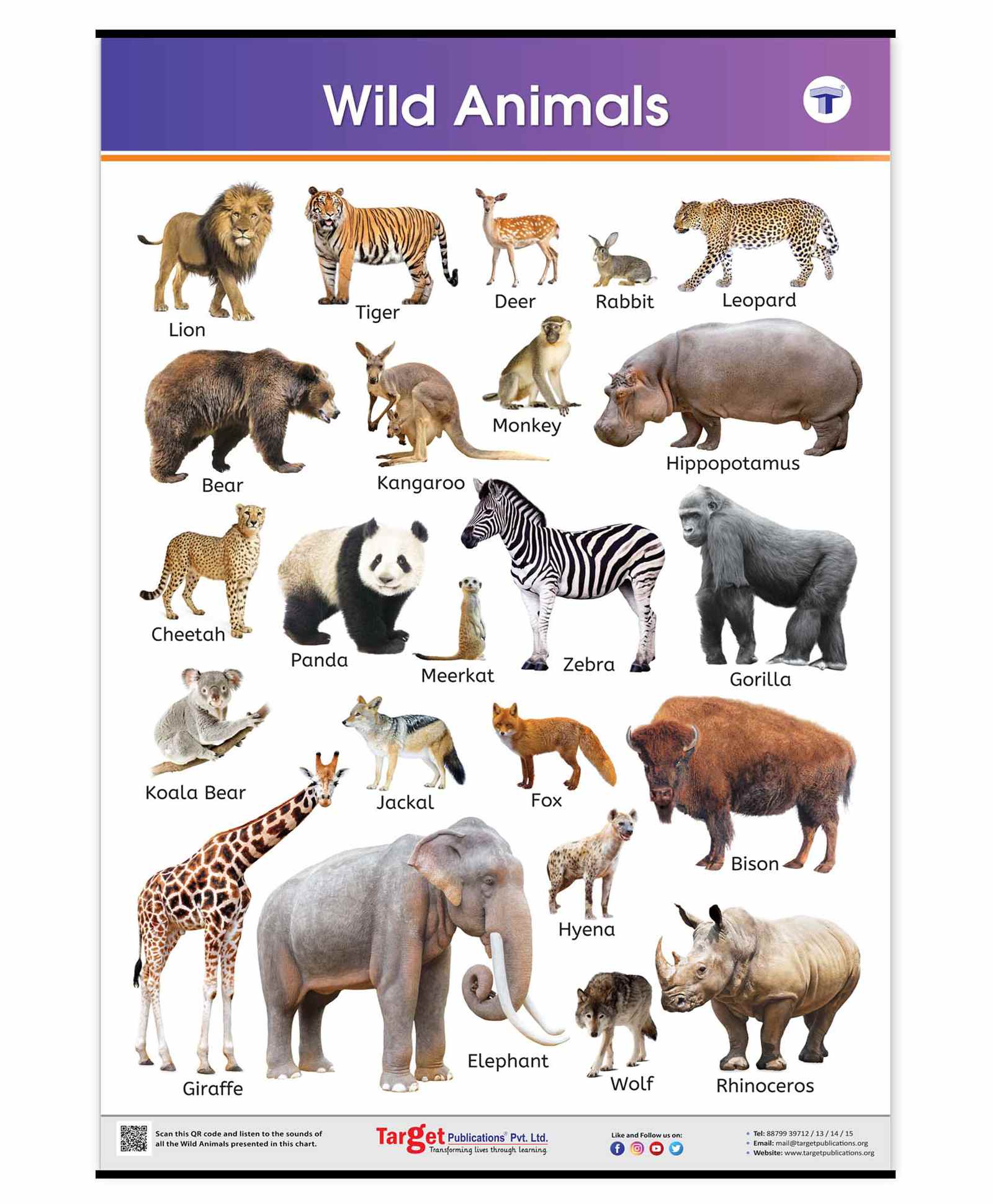 Top 171+ Domestic animals and wild animals chart - Merkantilaklubben.org