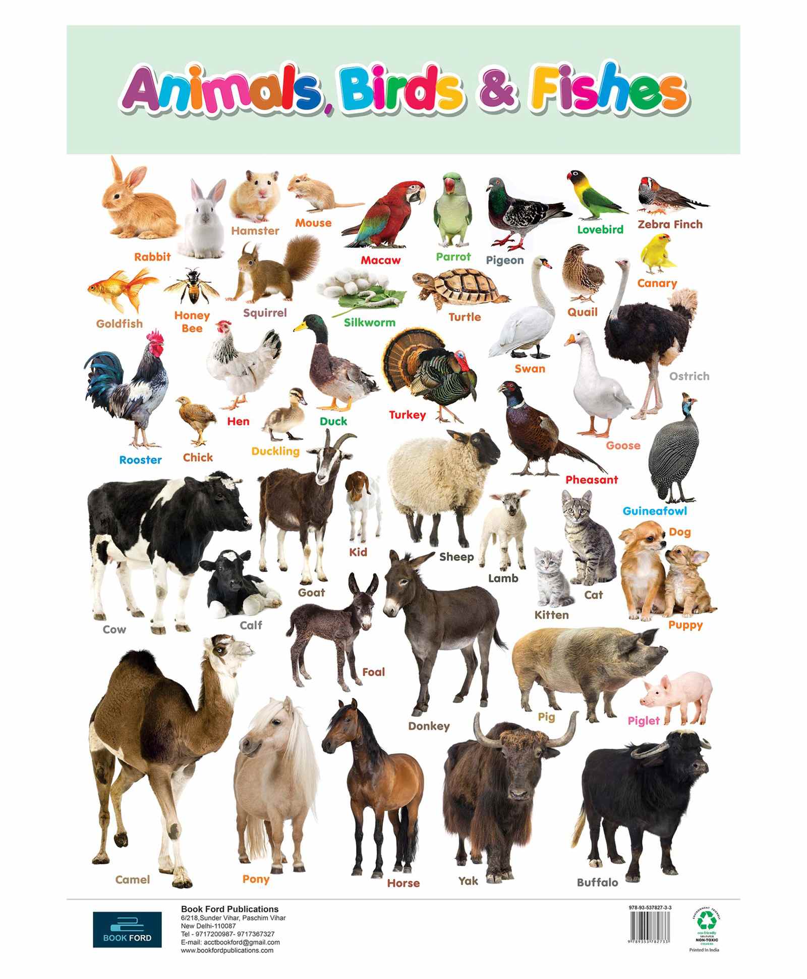Book Ford Wild Animals And Bird Charts Pack of 2 - English Online in India,  Buy at Best Price from  - 8374773