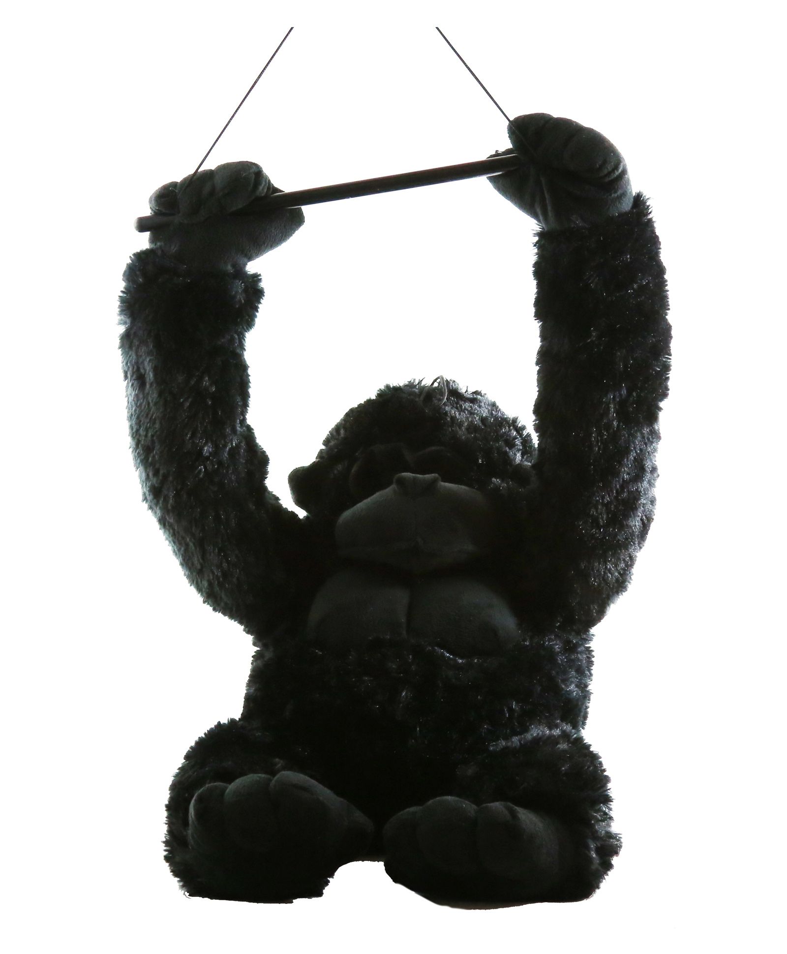 chimpanzee teddy