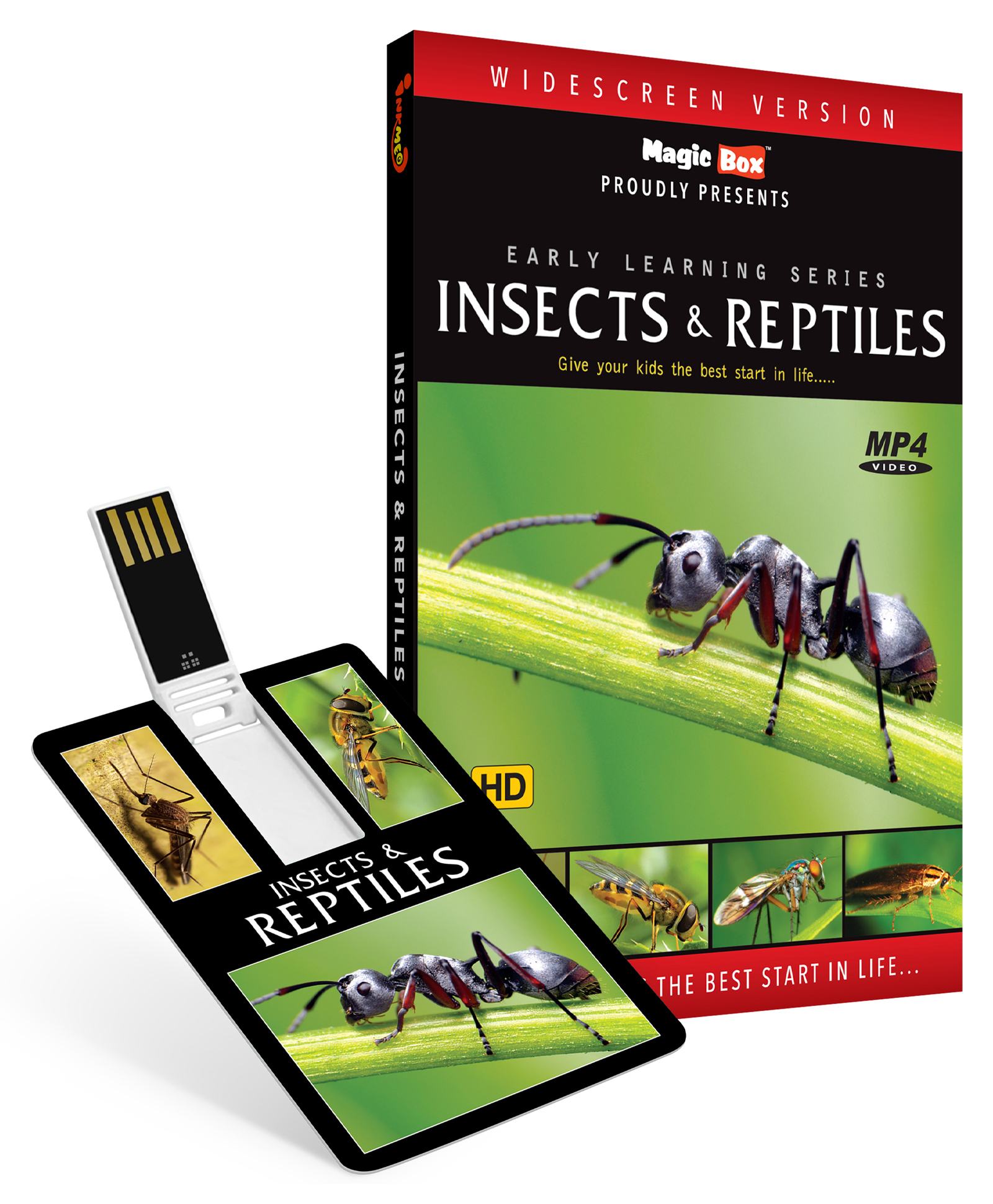 Inkmeo USB Memory Stick Pre School Learning Insects & Reptiles - English