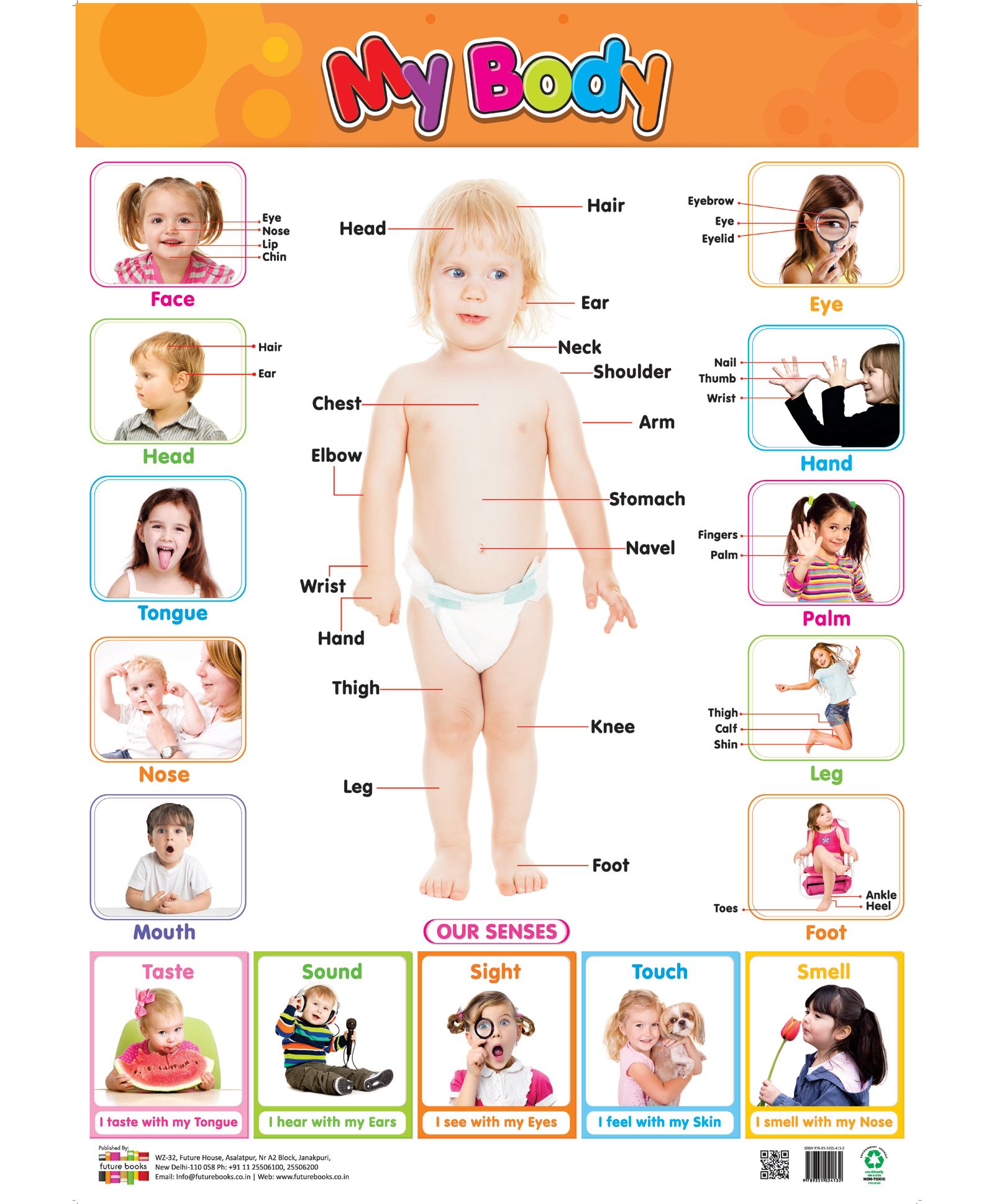 Body chart. Body Chart English. Body Chart with Words.