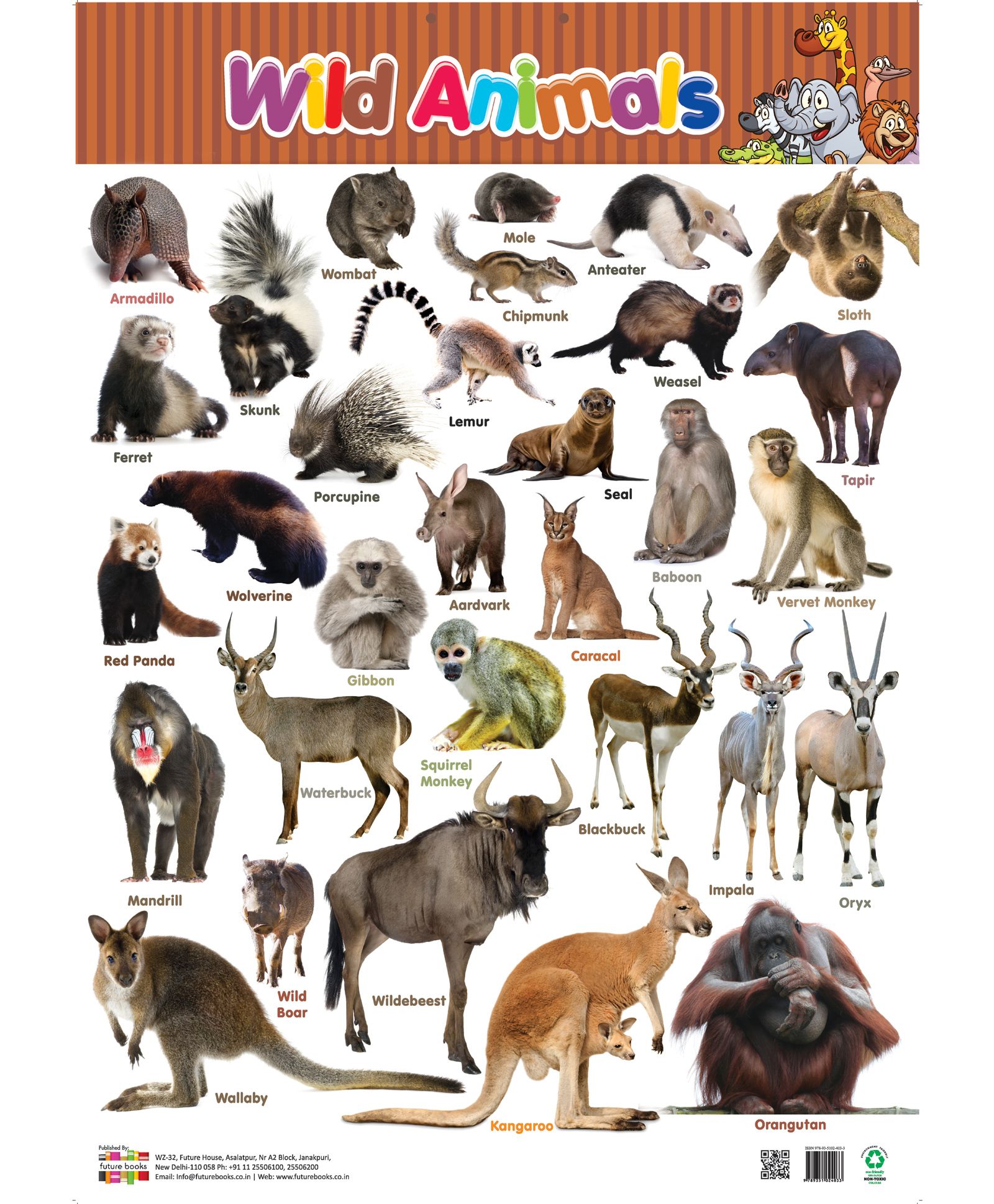 Future Book Wild Animals Both Side Chart - English Online in India, Buy at  Best Price from  - 850680