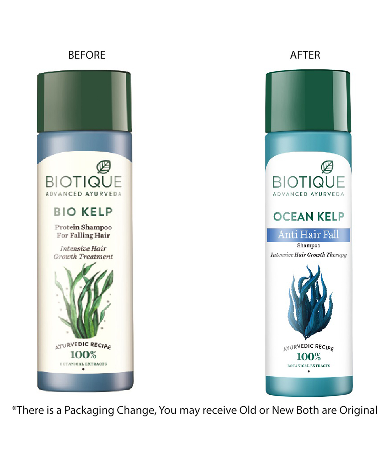 Biotique Ocean Kelp Anti Hair Fall Shampoo - 120 ml Online in India, Buy at  Best Price from  - 8918824