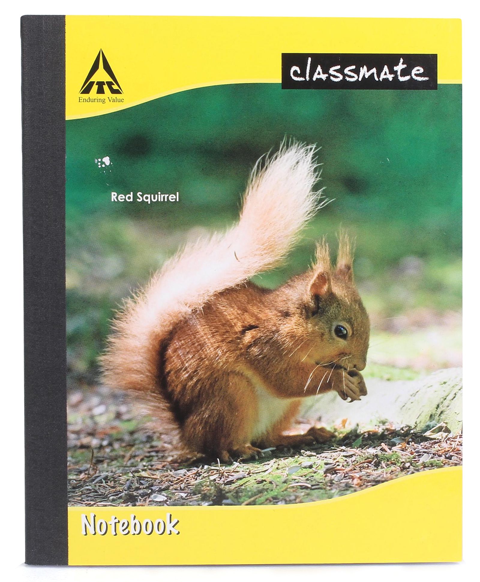 Classmate Notebook Four Lines With Gap Ruling - 172 Pages-picture-36