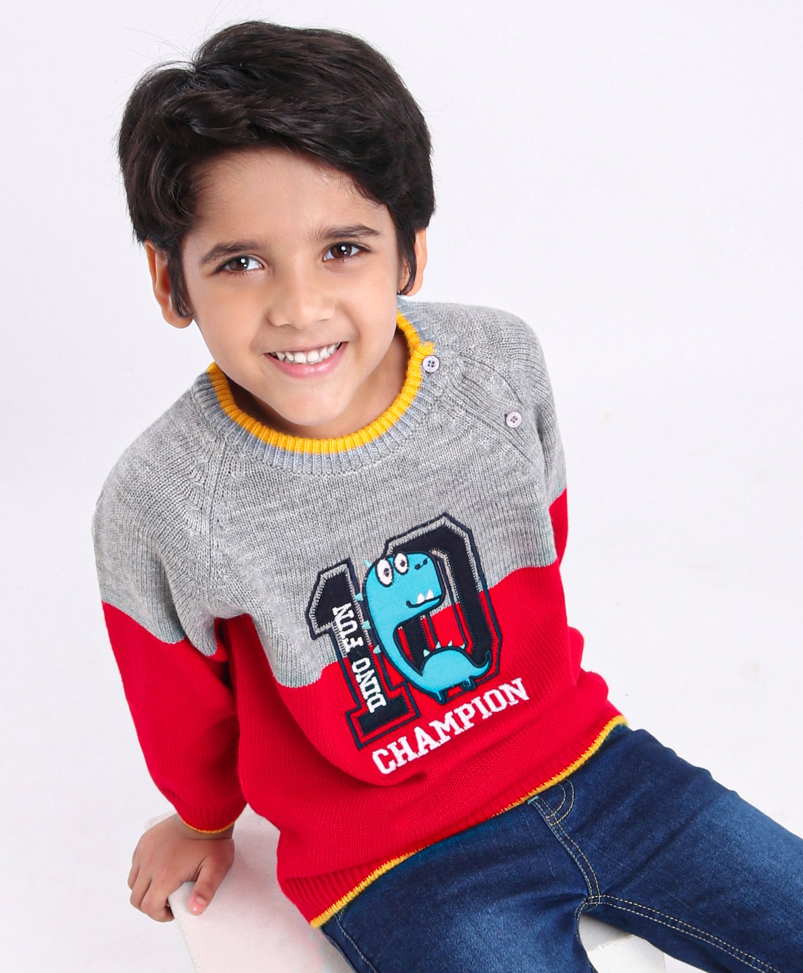 Babyhug Full Sleeves Pullover Colorblock Sweater Dino Print - Red Grey-image-19