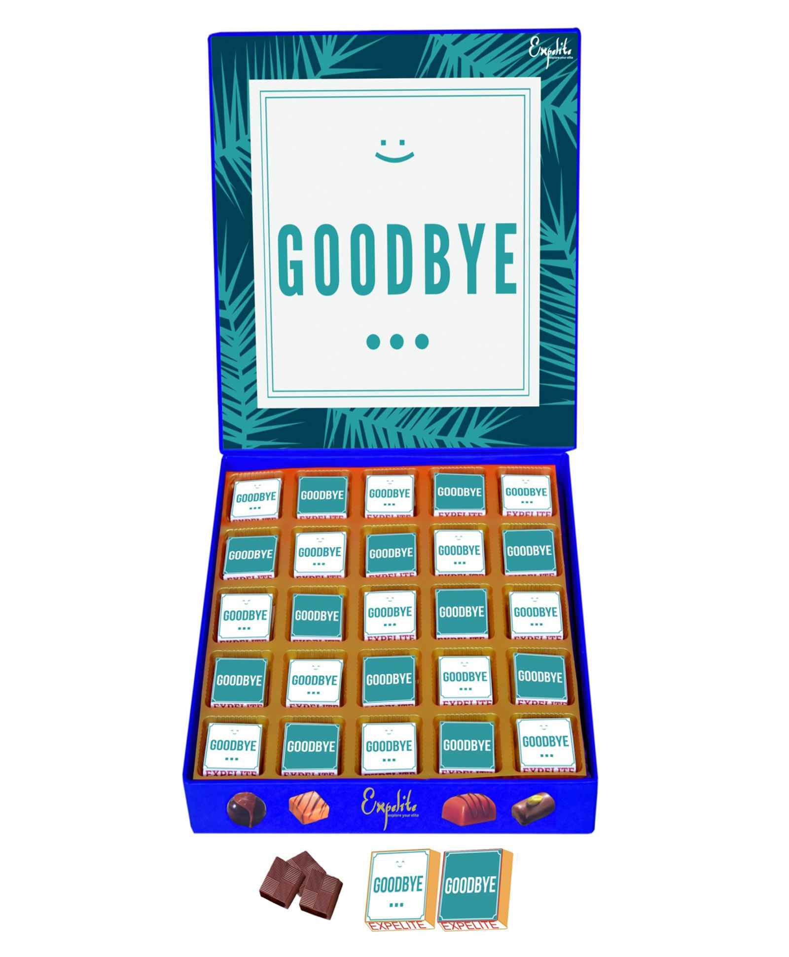 Expelite Goodbye Chocolate c - 400 gm-image-43