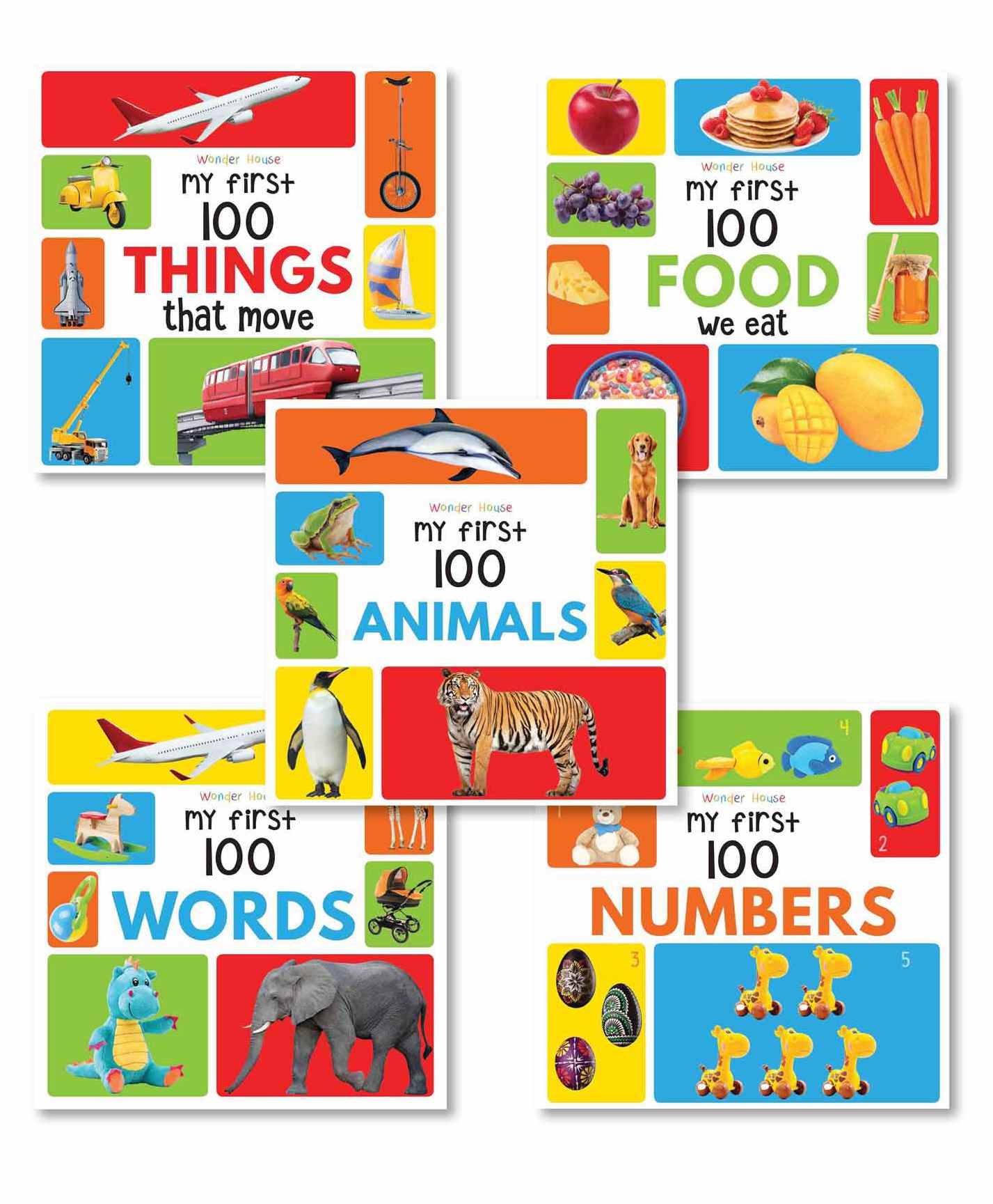 Wonder House Books My First 100 Picture Box Set of 5 - English-picture-47
