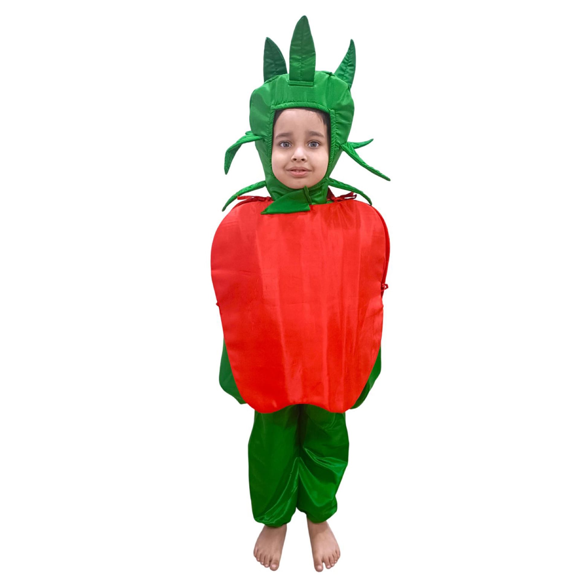 Buy BookMyCostume Full Sleeves Apple Fancy Dress Costume Set