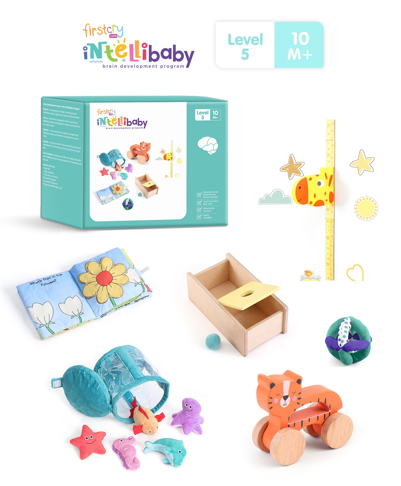 Intellibaby Level 5 (6 Brain Development Toys) 10 months Plus