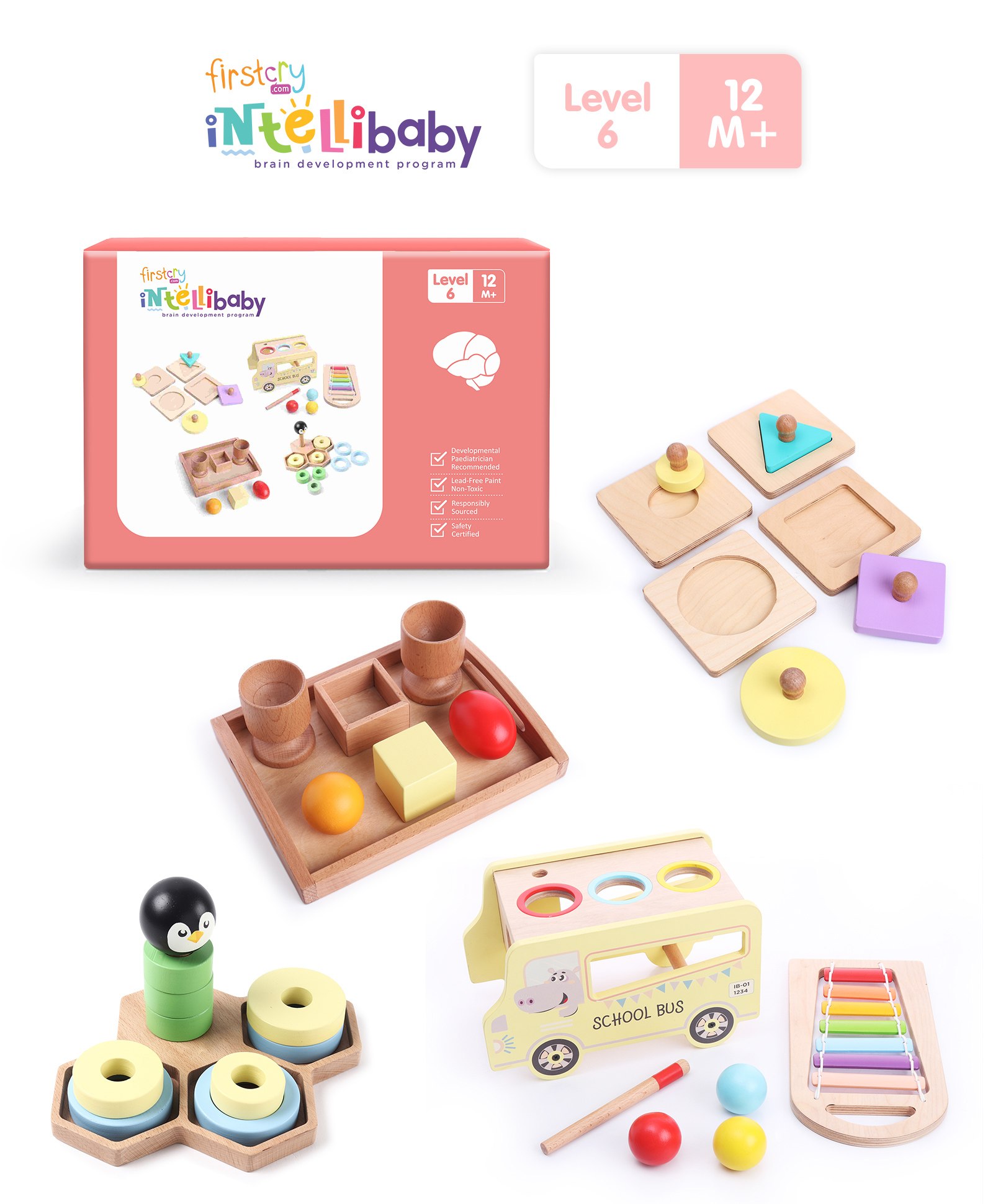 Buy Intellibaby Level 6 (4 Brain Development Toys) 12 months Plus Online at