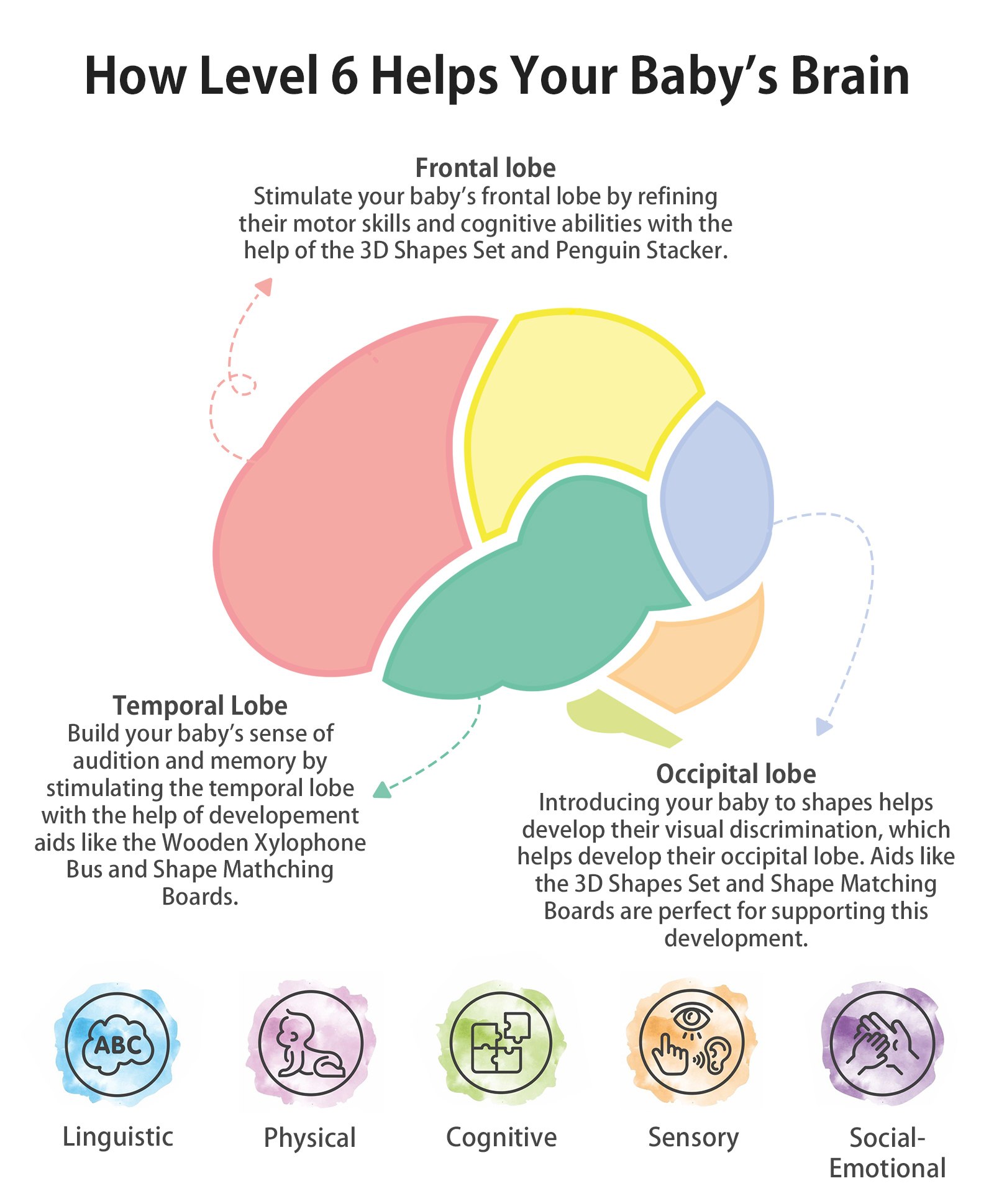Brain Development In Infancy Buy Intellibaby Level 6 (4 Brain Development Toys) 12 months Plus ...