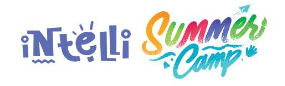 Intelli-Summer-Camp