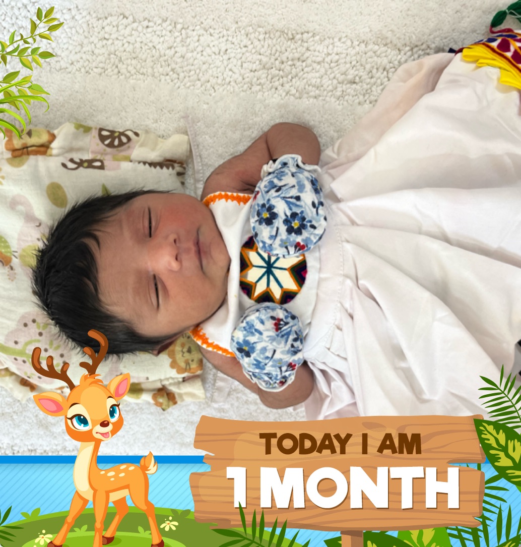 profile image of Doli