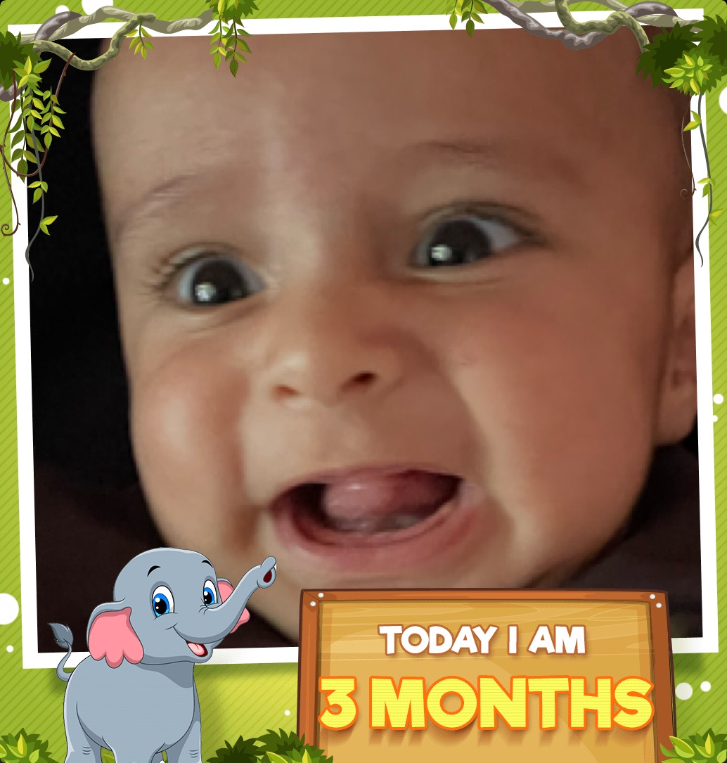 profile image of Navjot