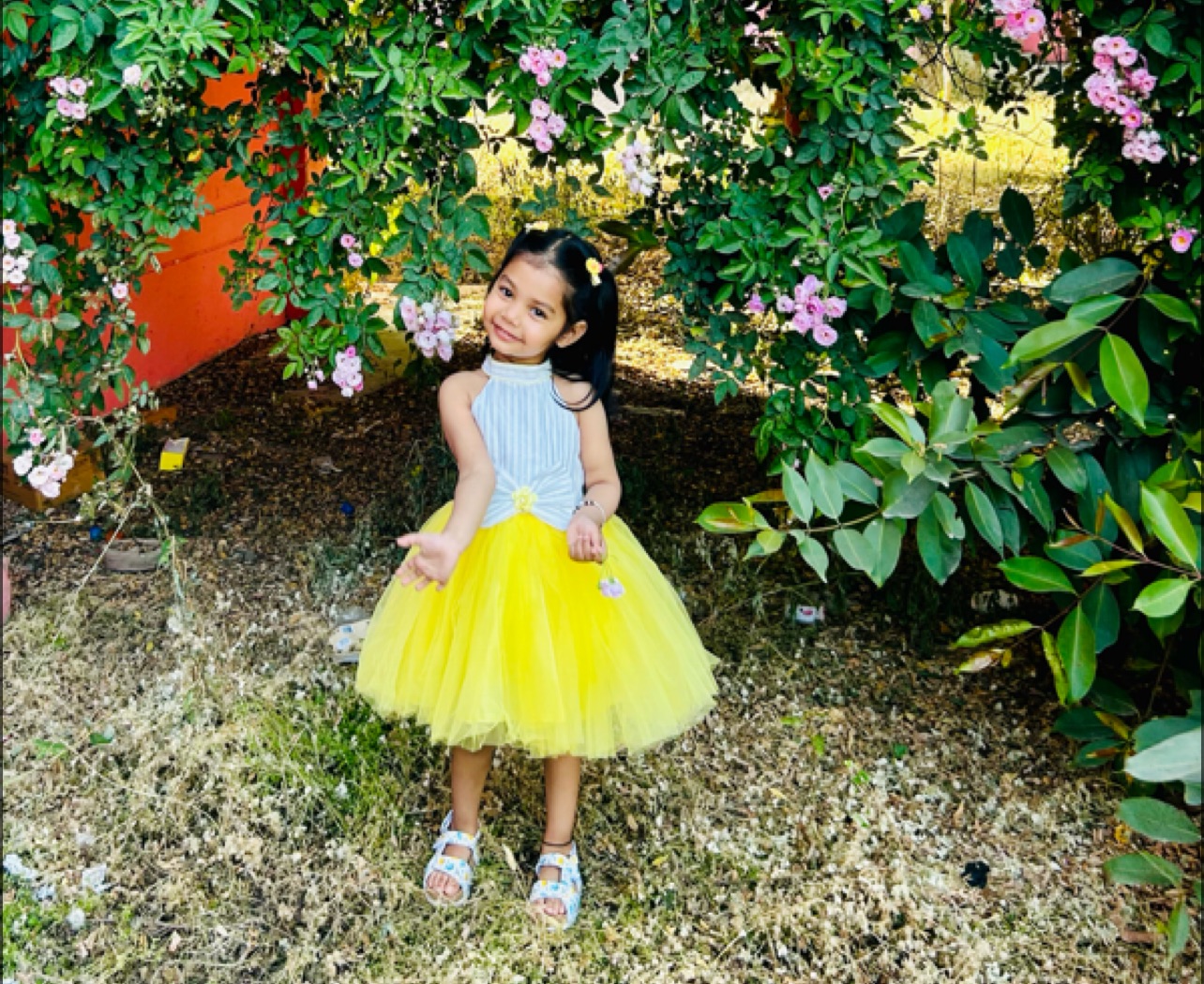 sim ray profile image of sim ray