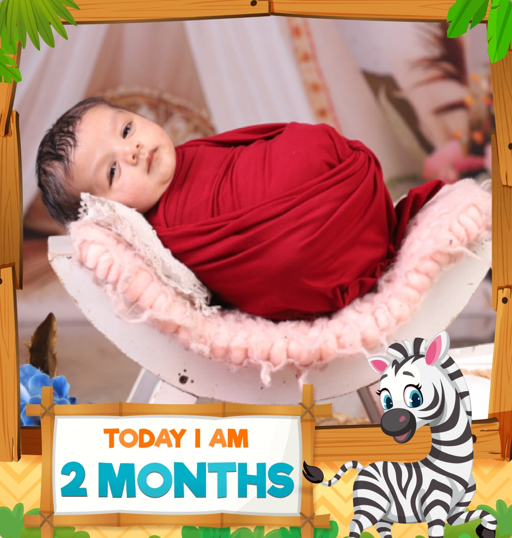 Priyanka Patel profile image of Priyanka Patel